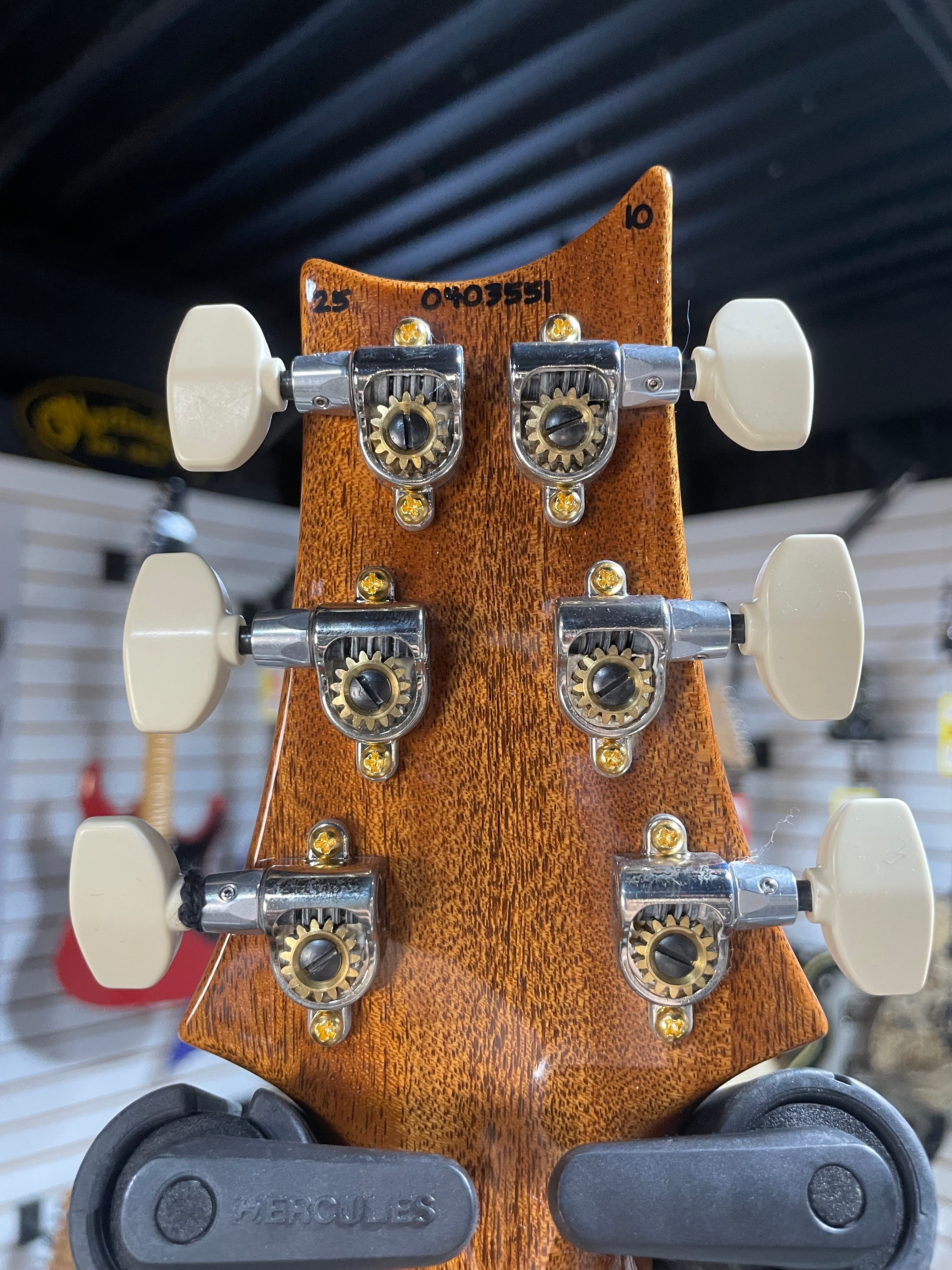 Wood Library Special 22 Semi Hollow - Custom Color Smokeburst #551 GET PLEK'D!