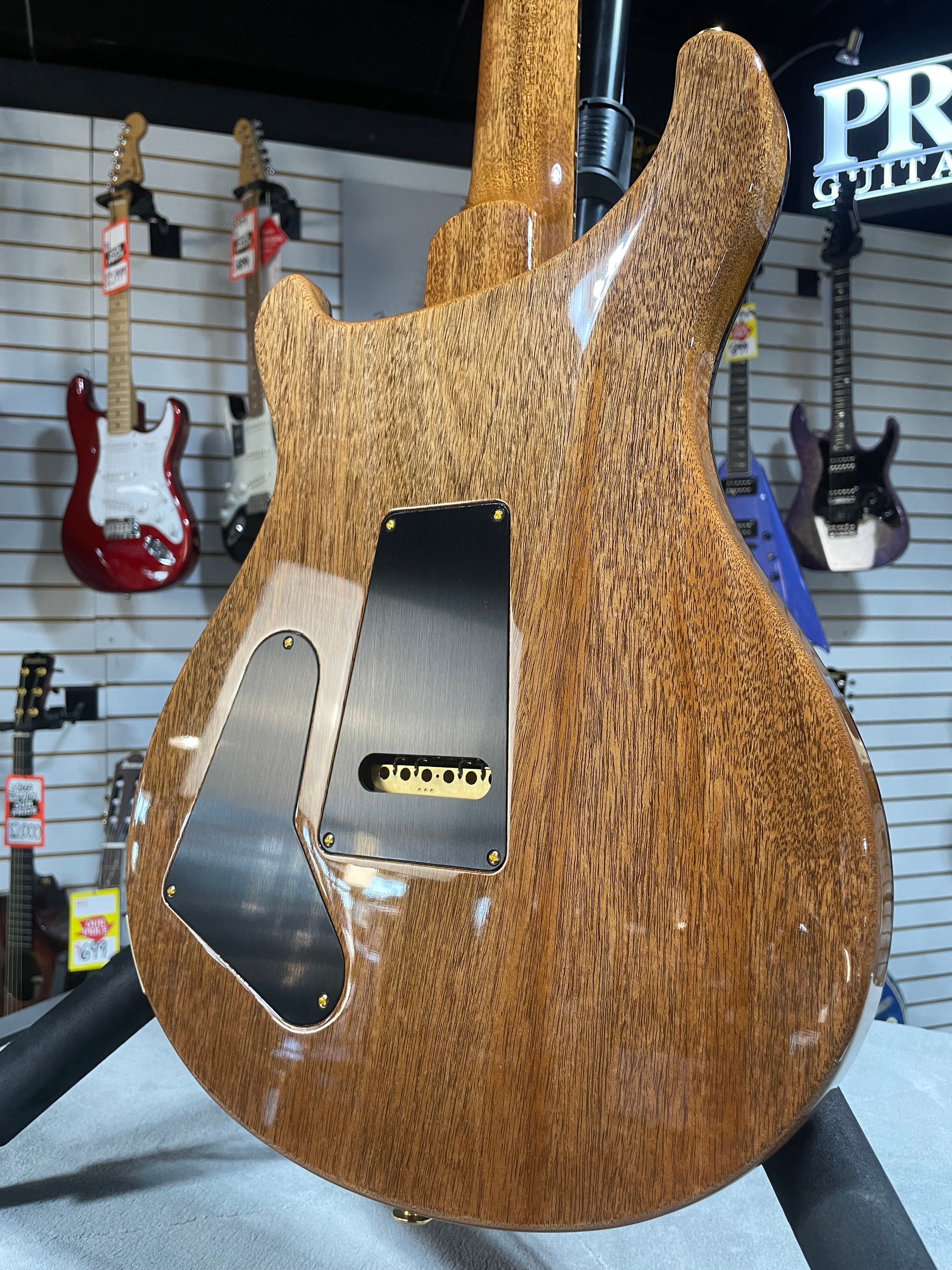 Wood Library Special 22 Semi Hollow - Custom Color Smokeburst #551 GET PLEK'D!