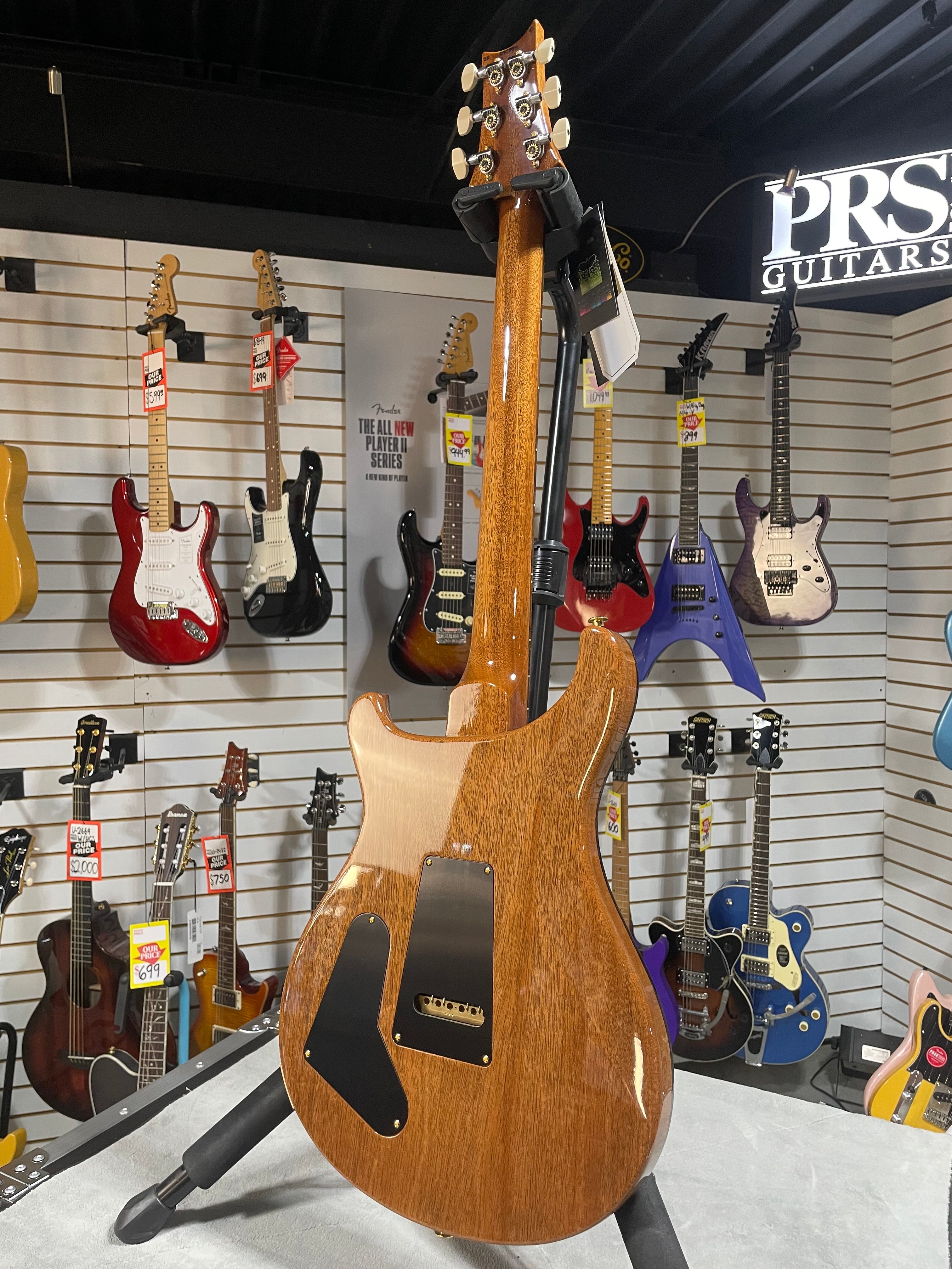 Wood Library Special 22 Semi Hollow - Custom Color Smokeburst #551 GET PLEK'D!