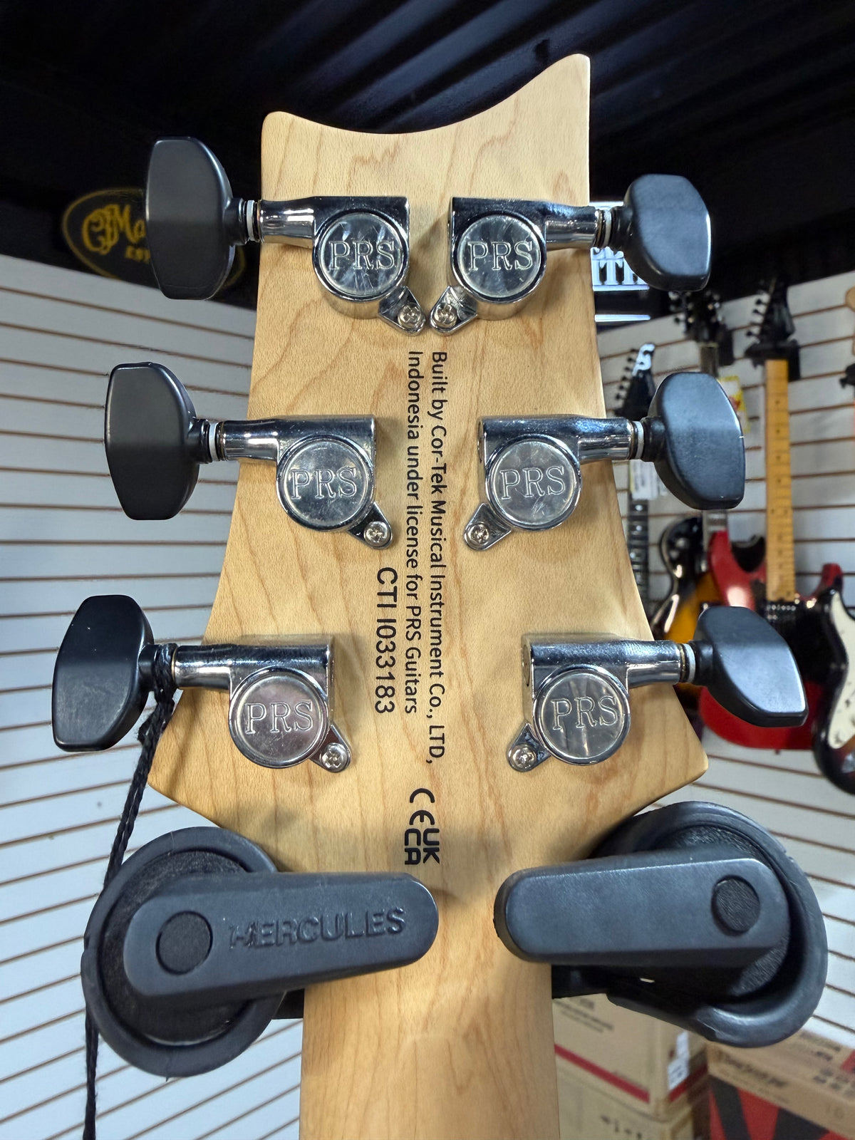 PRS SE Studio Standard Sage Green