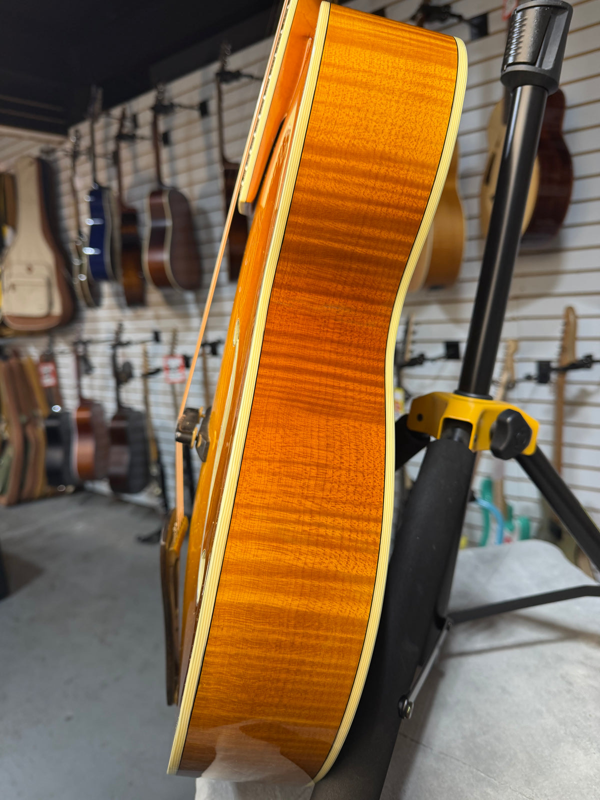Eastman AR805 Goldburst