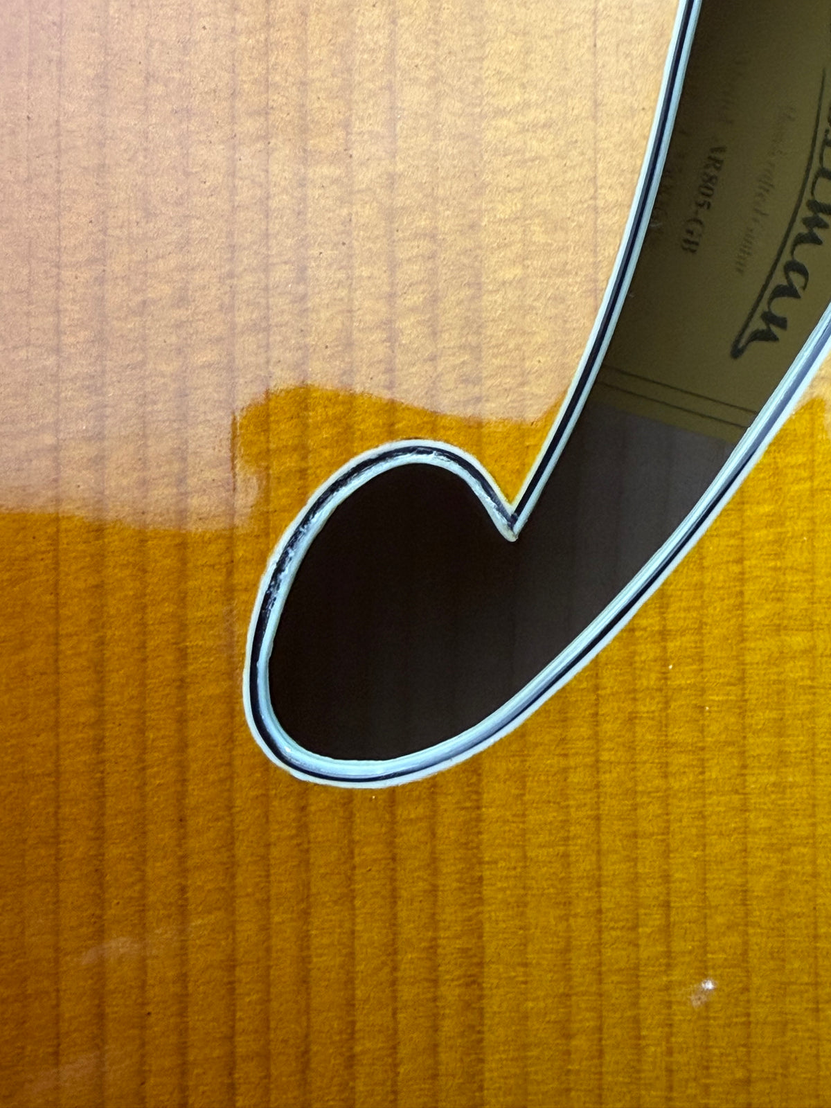 Eastman AR805 Goldburst