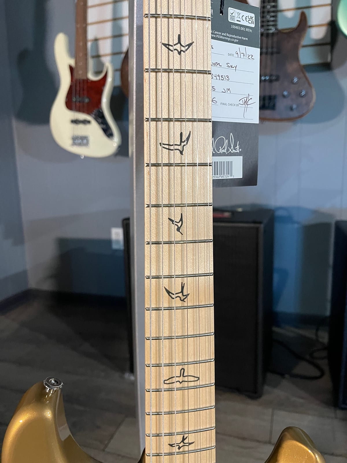 Silver Sky Electric Guitar - Golden Mesa #513