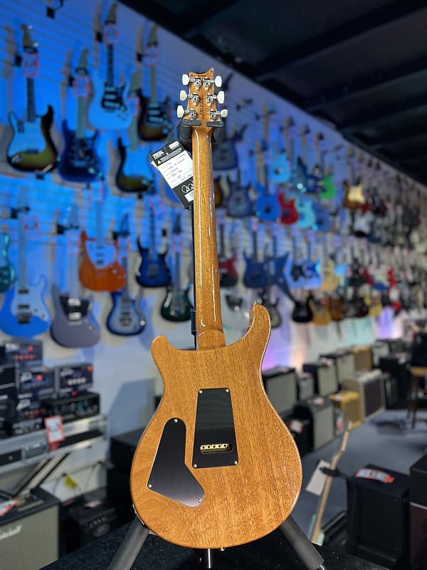 PRS Wood Library Custom 24 Fatback 2024 - Custom Color - Quilt 10 Top, Brazilian RW, Paisley Case 293