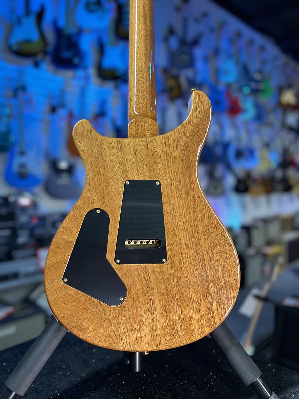 PRS Wood Library Custom 24 Fatback 2024 - Custom Color - Quilt 10 Top, Brazilian RW, Paisley Case 293
