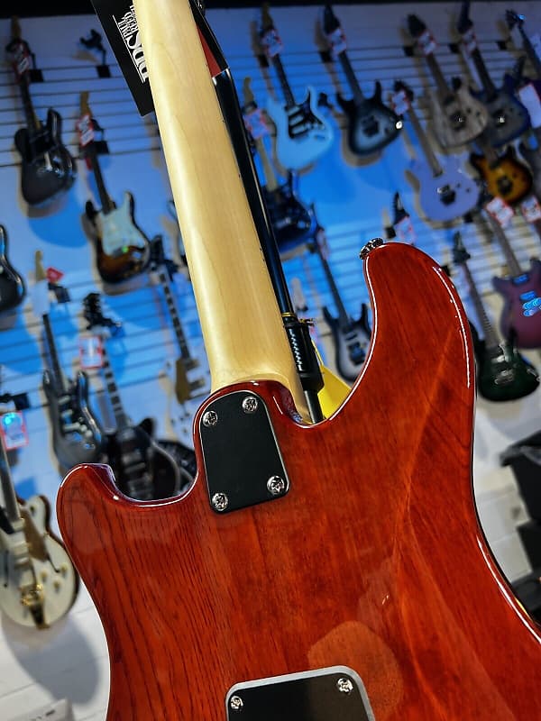 PRS SE Swamp Ash Special Electric Guitar - Vintage Sunburst Authorized Deal! 985