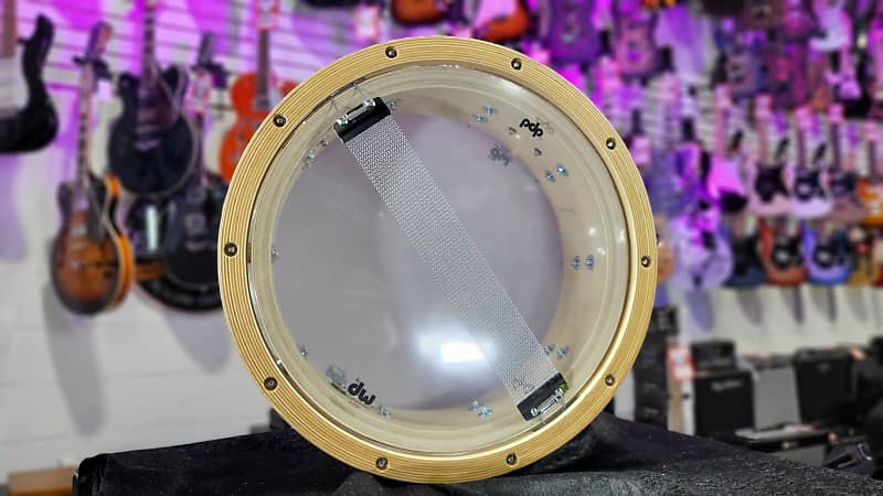 PDP Concept Series Wood Hoop 20-ply Maple Snare - 5.5X14 Authorized Dealer Free Shipping!
