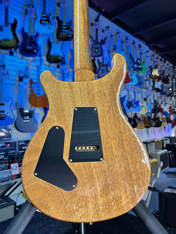 PRS Wood Library Custom 24 Fatback 2024 - Custom Color - Quilt 10 Top, Brazilian RW, Paisley Case 293