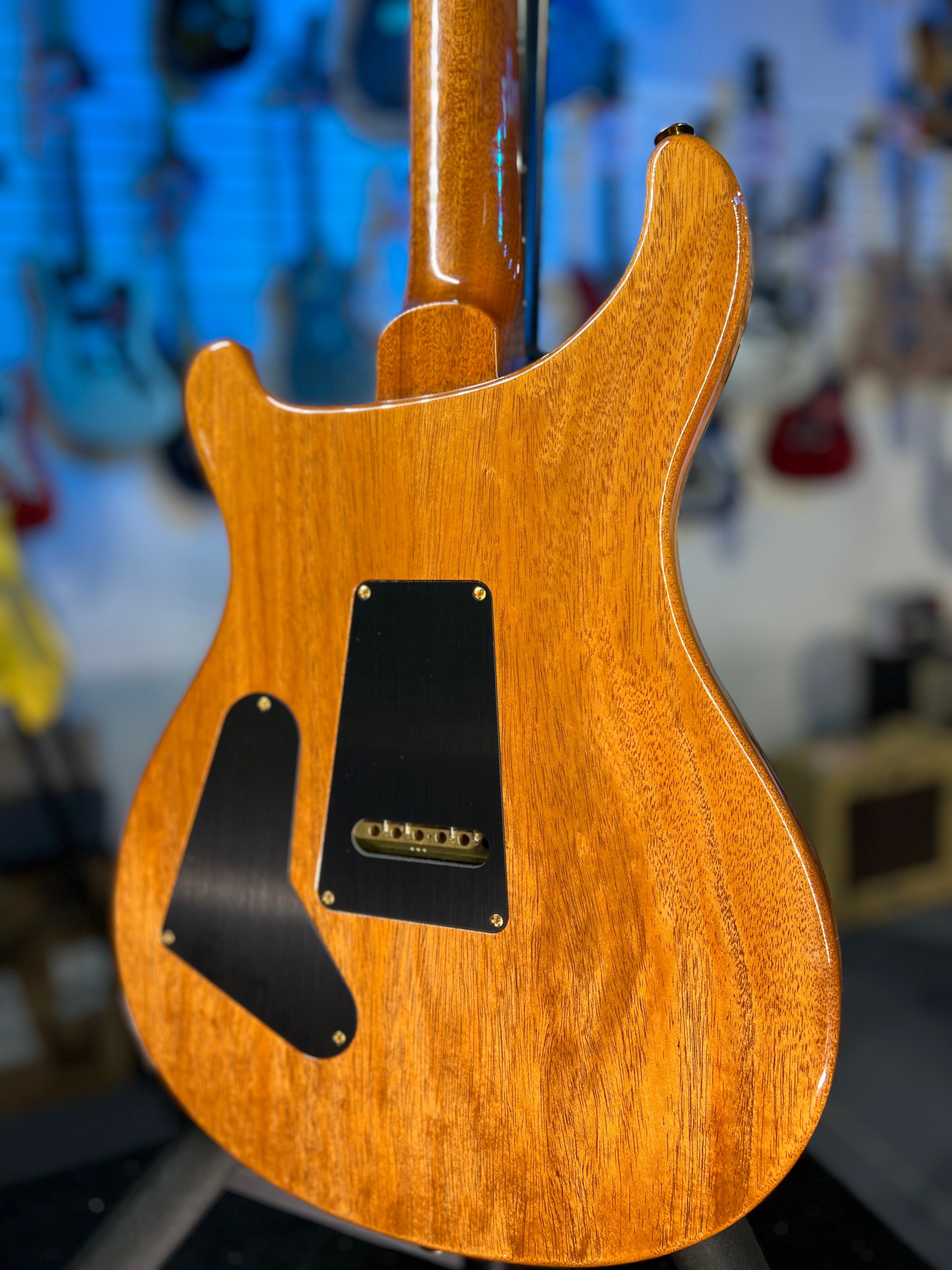 PRS Custom 24 10 Top - Faded Trampas Green Wrap, PRS Hard Case 431