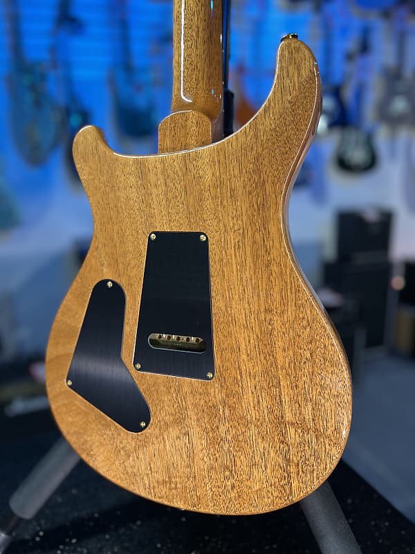 PRS Wood Library Custom 24 Fatback 2024 - Custom Color - Quilt 10 Top, Brazilian RW, Paisley Case 293