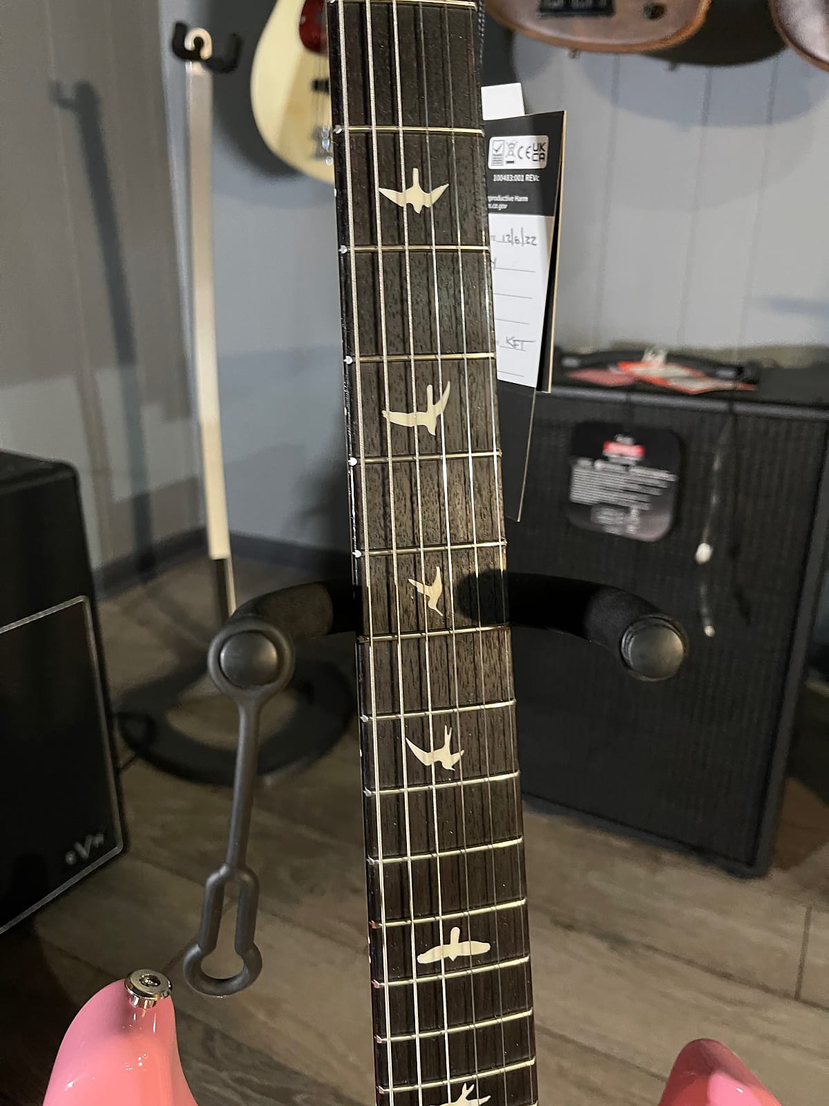 Silver Sky Electric Guitar - Roxy Pink #486