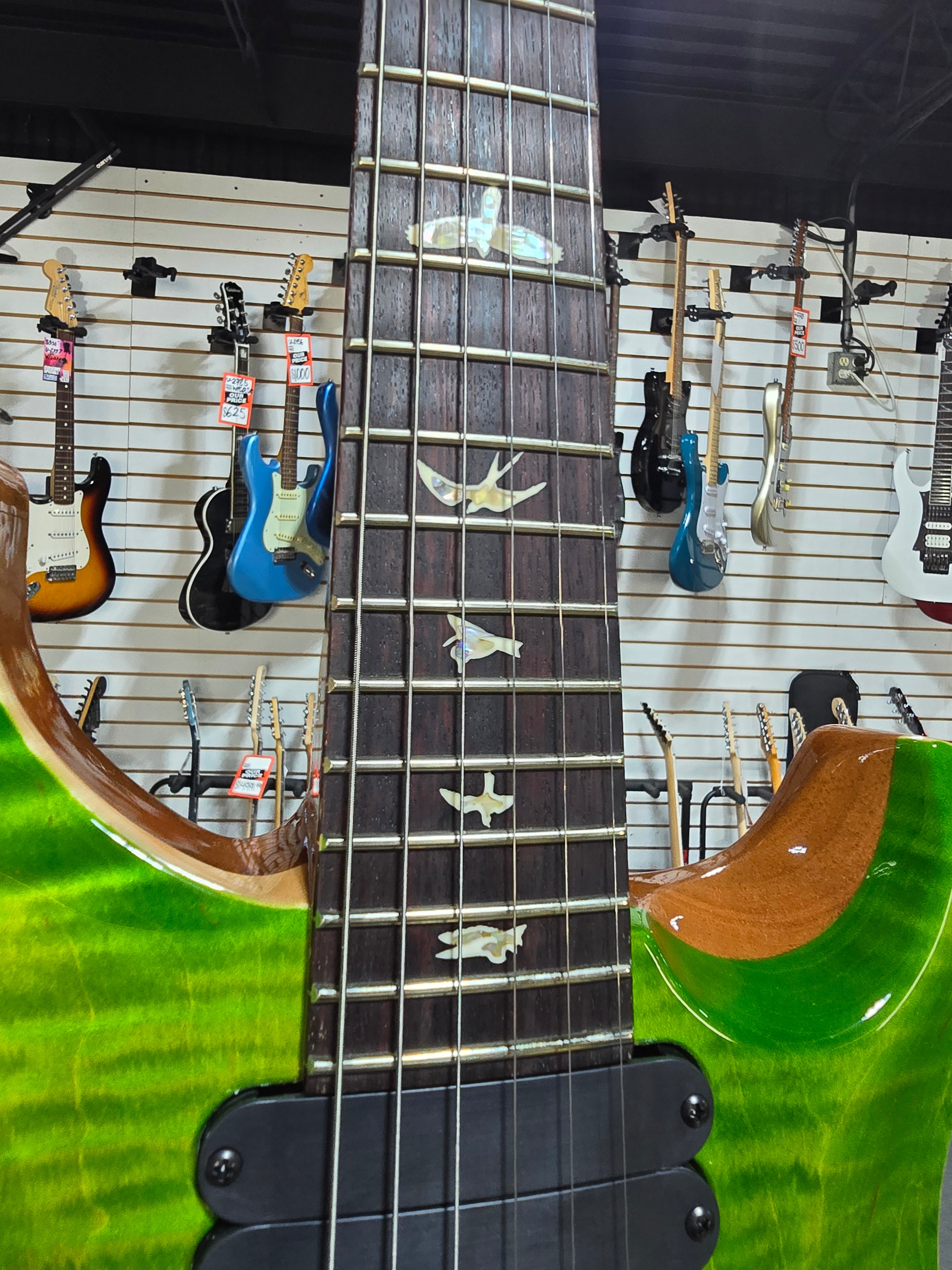 509 Electric Guitar - Eriza Verde #165 GET PLEK'D!