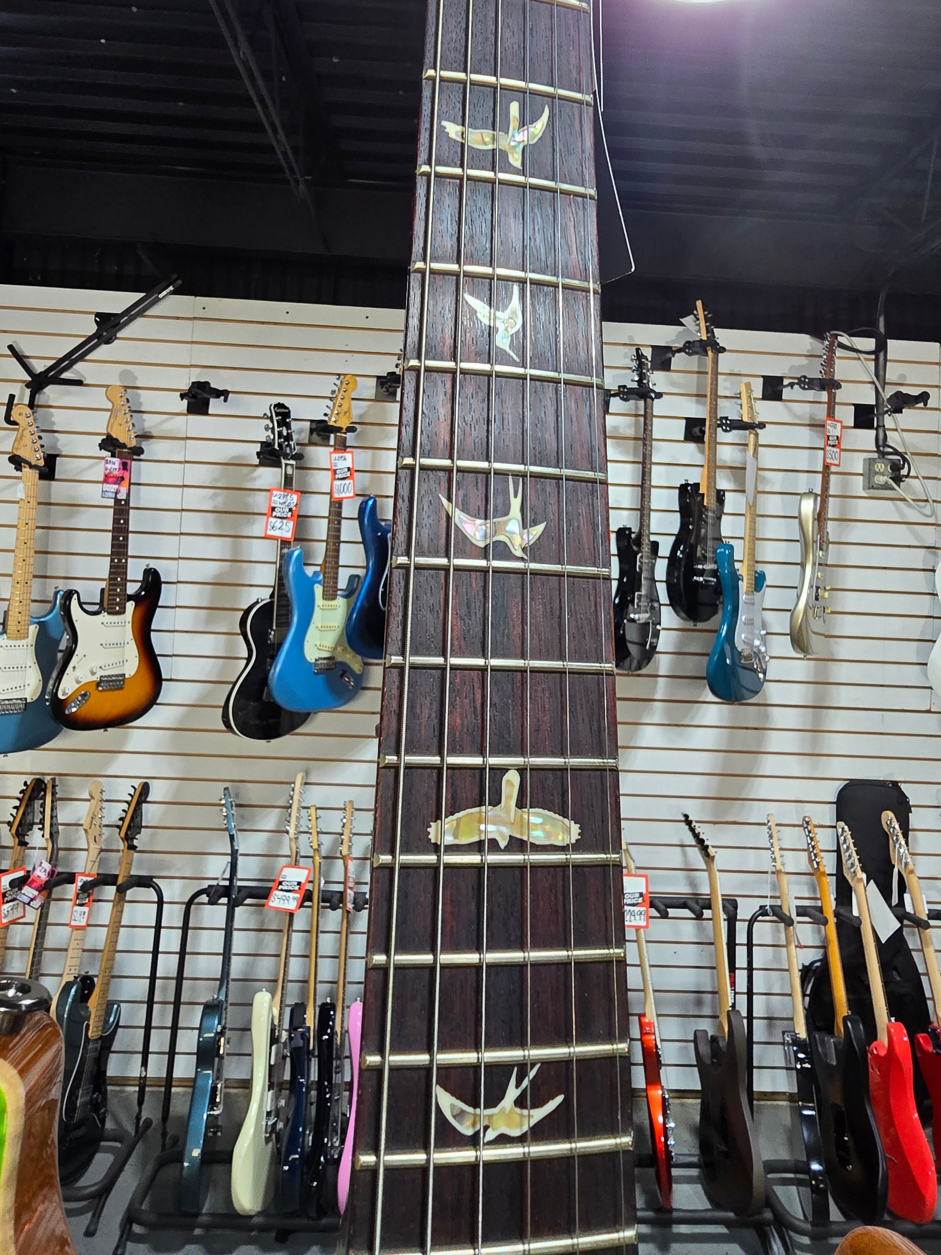 509 Electric Guitar - Eriza Verde #165 GET PLEK'D!