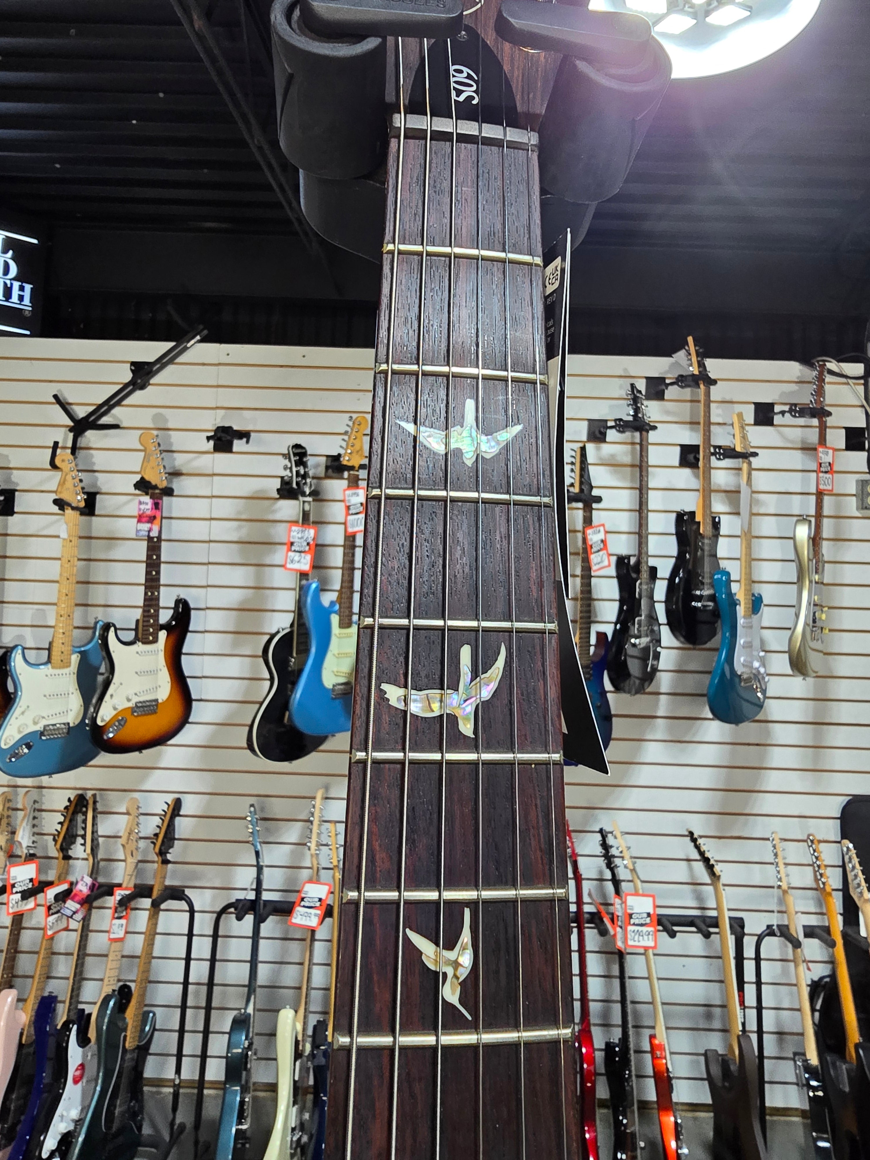 509 Electric Guitar - Eriza Verde #165 GET PLEK'D!