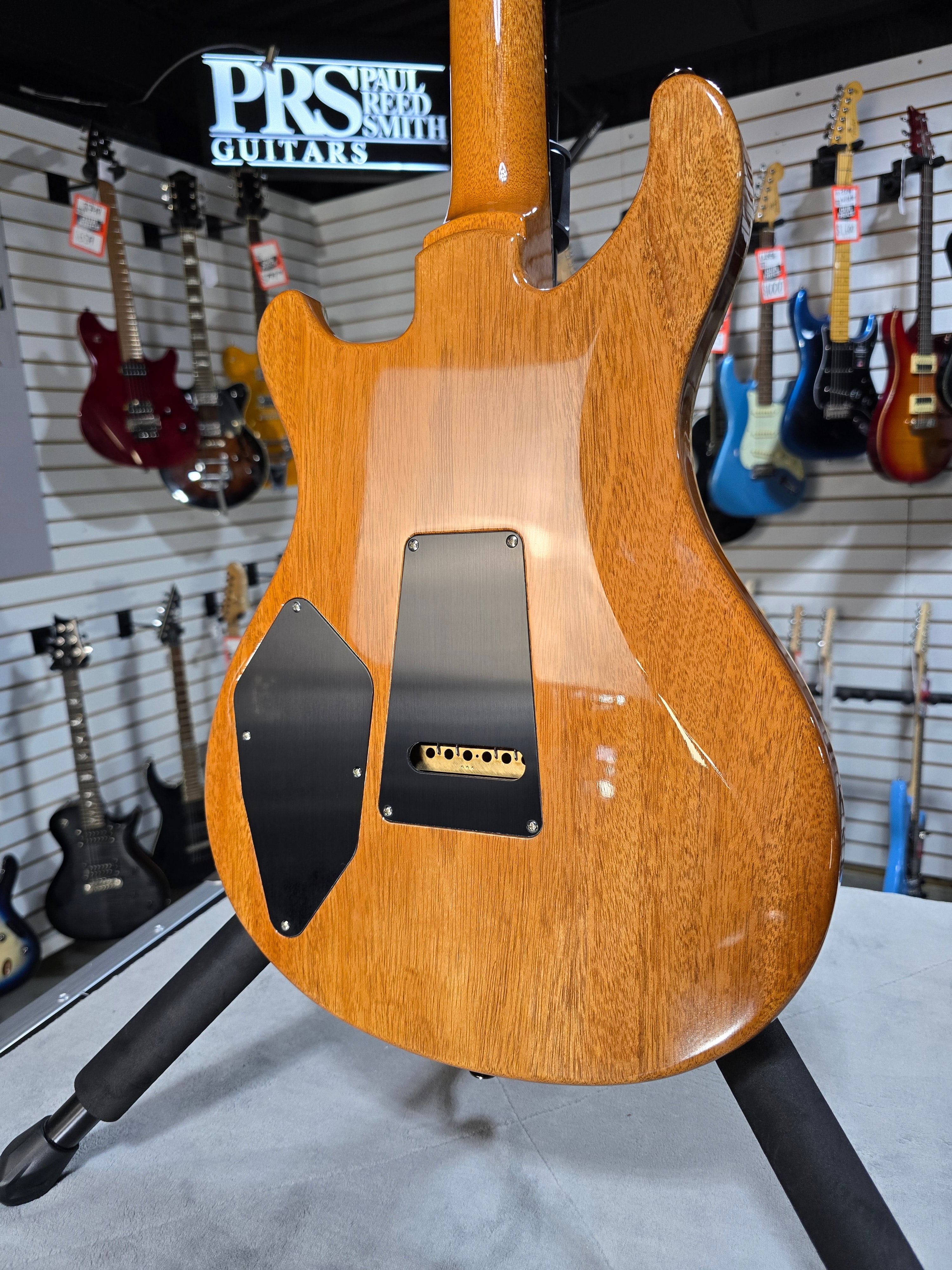 509 Electric Guitar - Eriza Verde #165 GET PLEK'D!