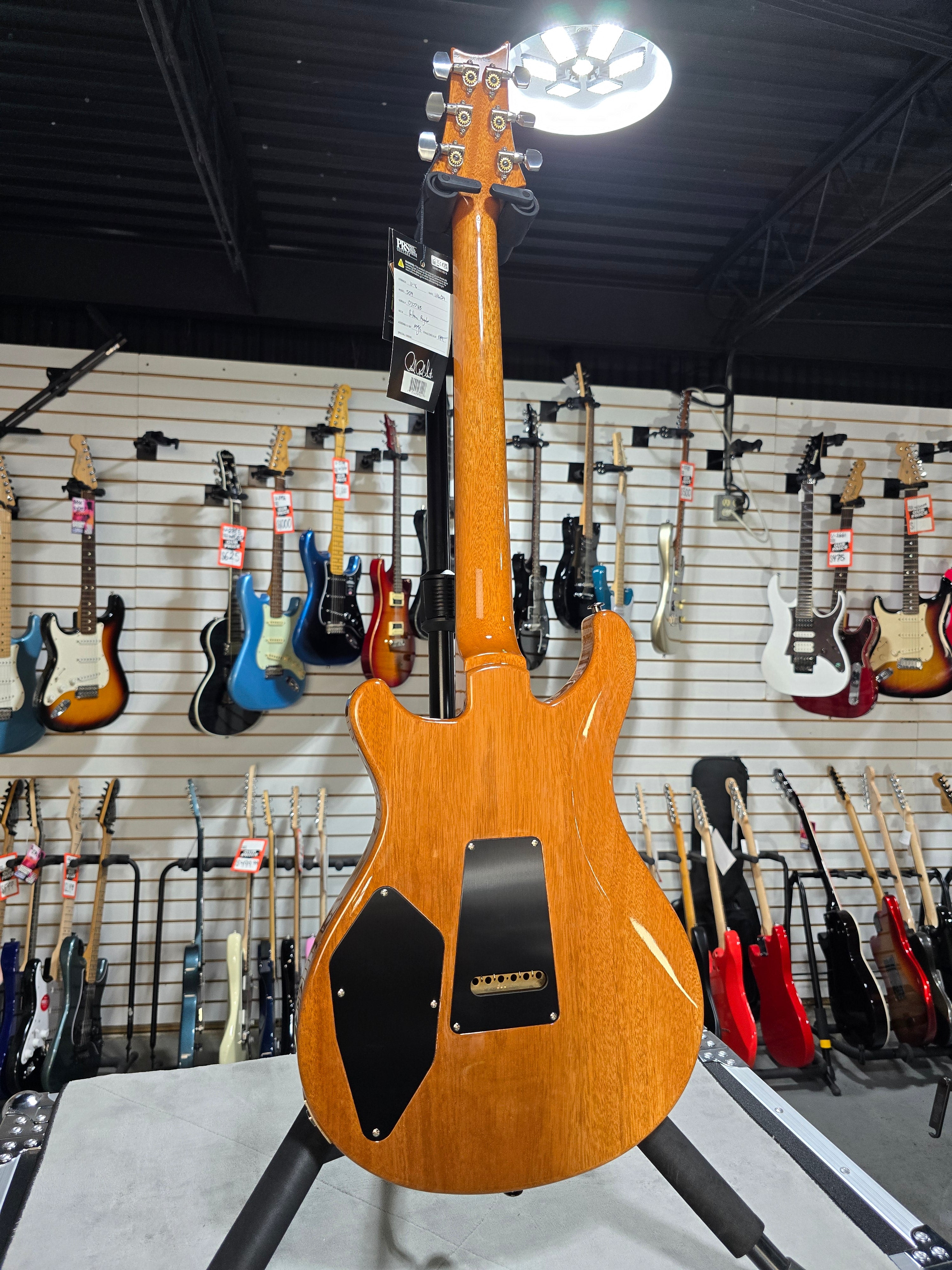 509 Electric Guitar - Eriza Verde #165 GET PLEK'D!