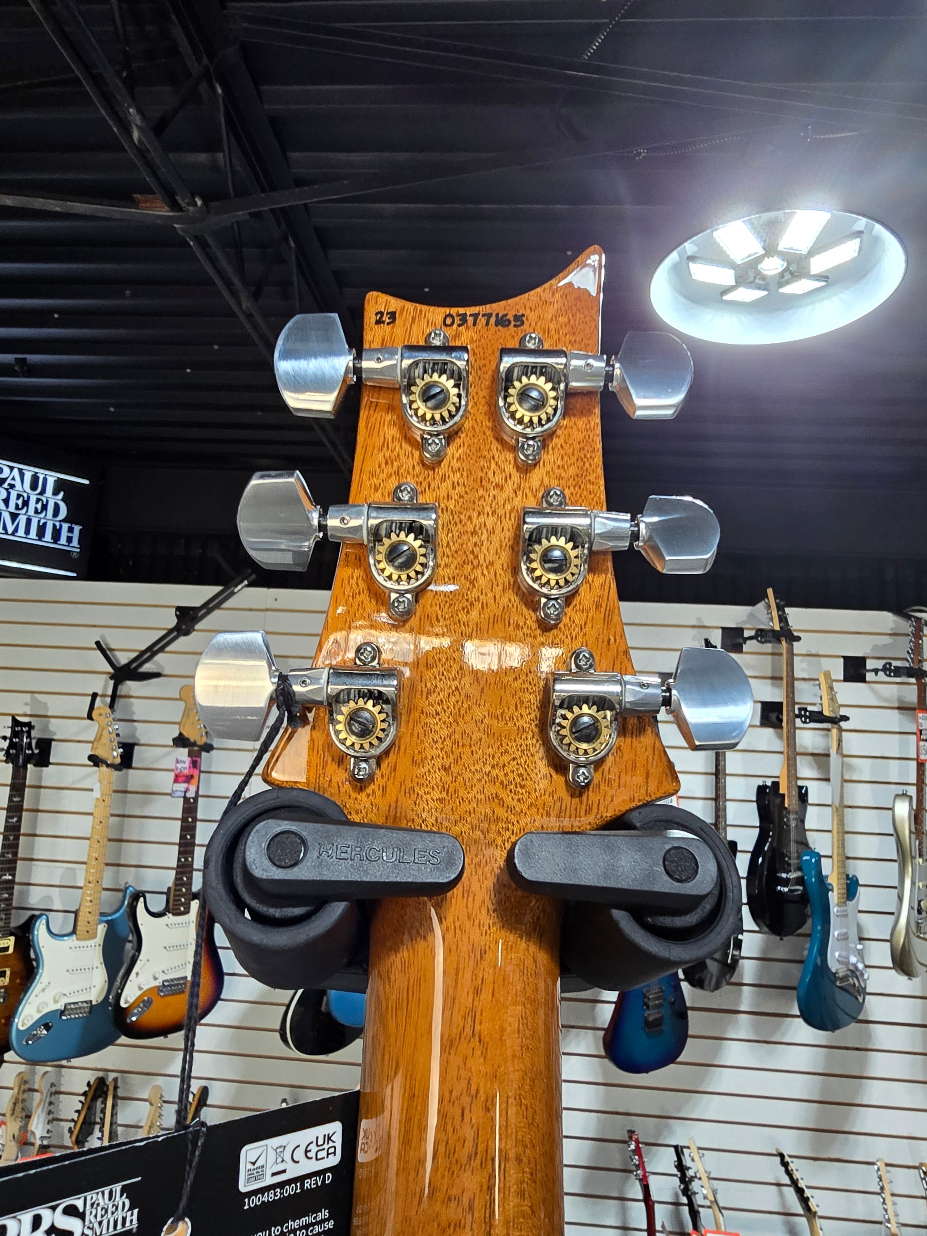 509 Electric Guitar - Eriza Verde #165 GET PLEK'D!