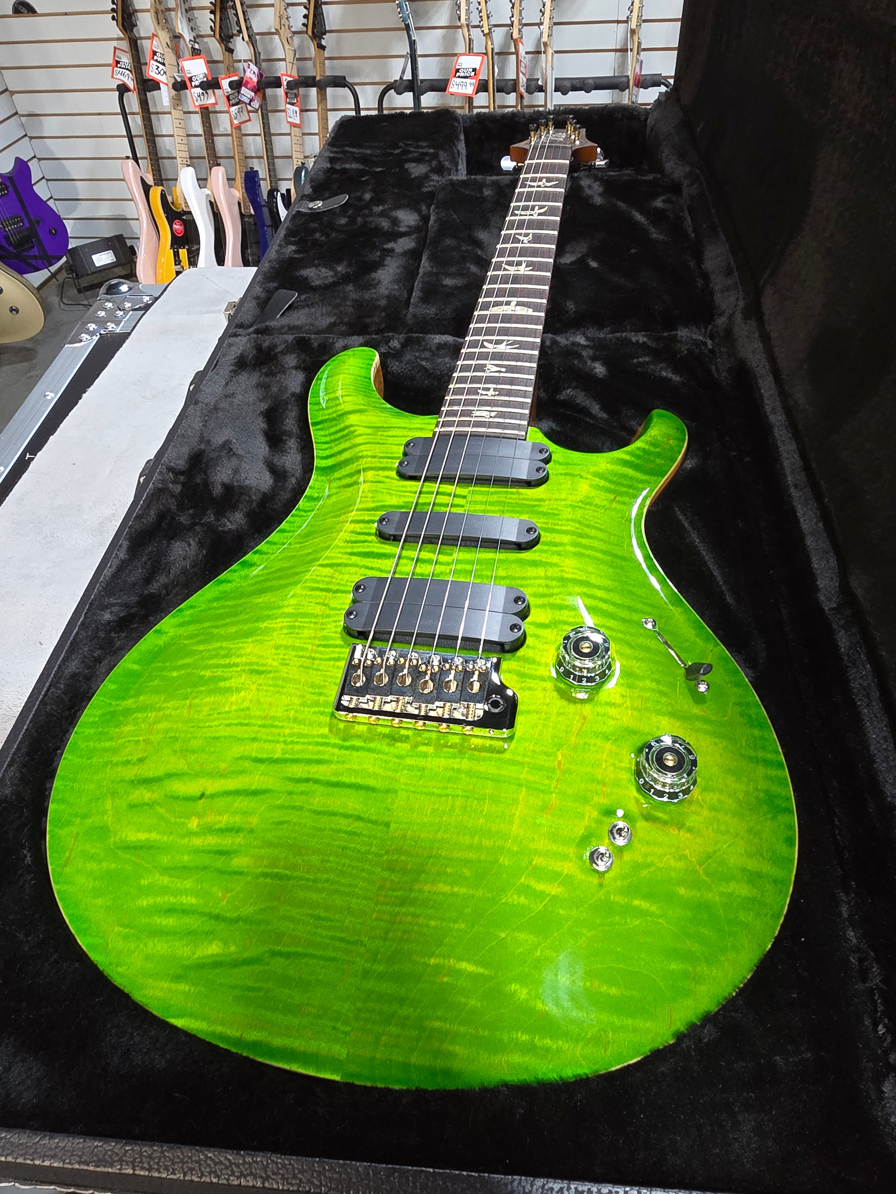 509 Electric Guitar - Eriza Verde #165 GET PLEK'D!