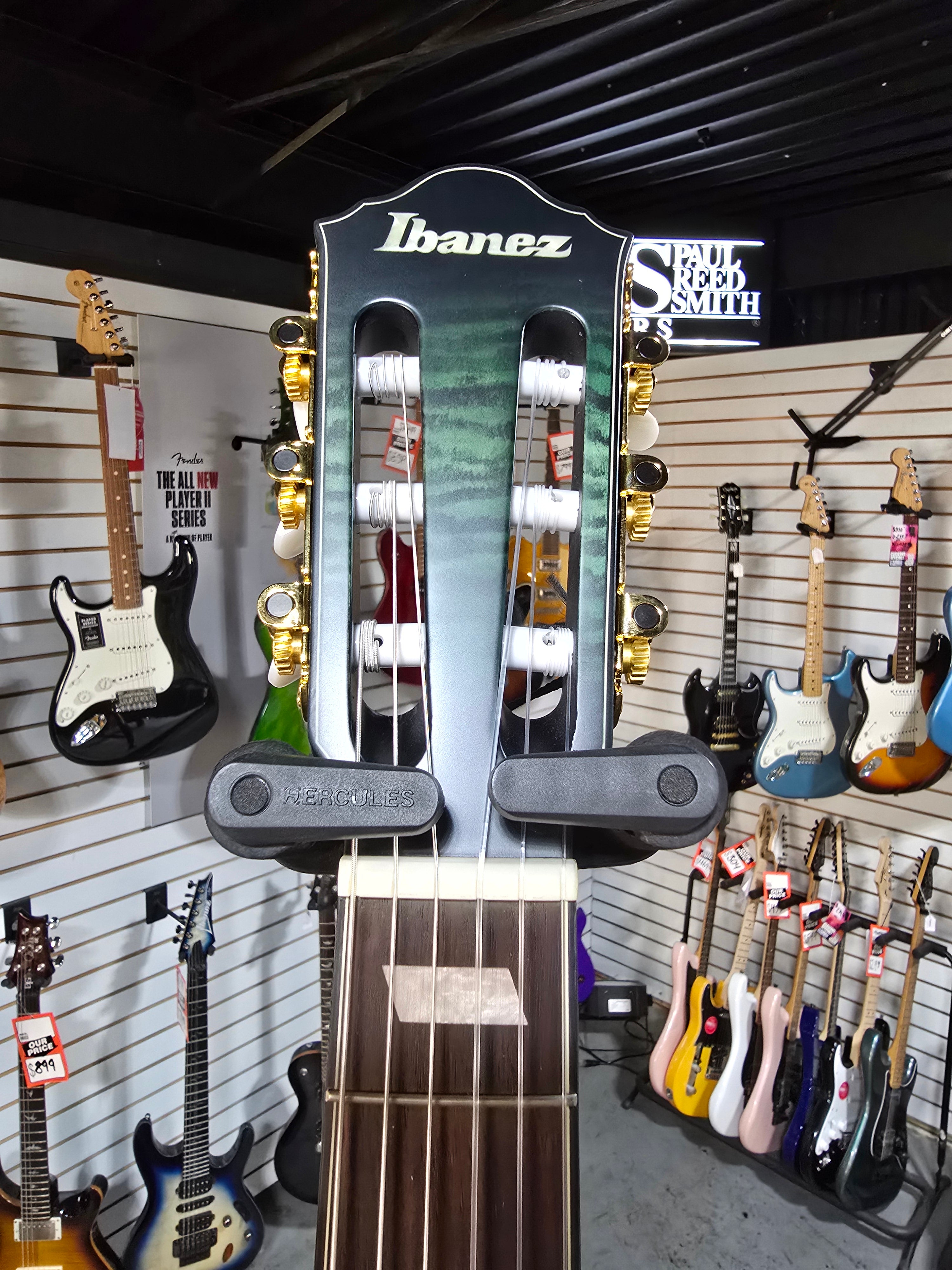 Ibanez FRH20FMN Nylon Acoustic Electric Guitar - Dark Emerald Green & PLEK*D #062