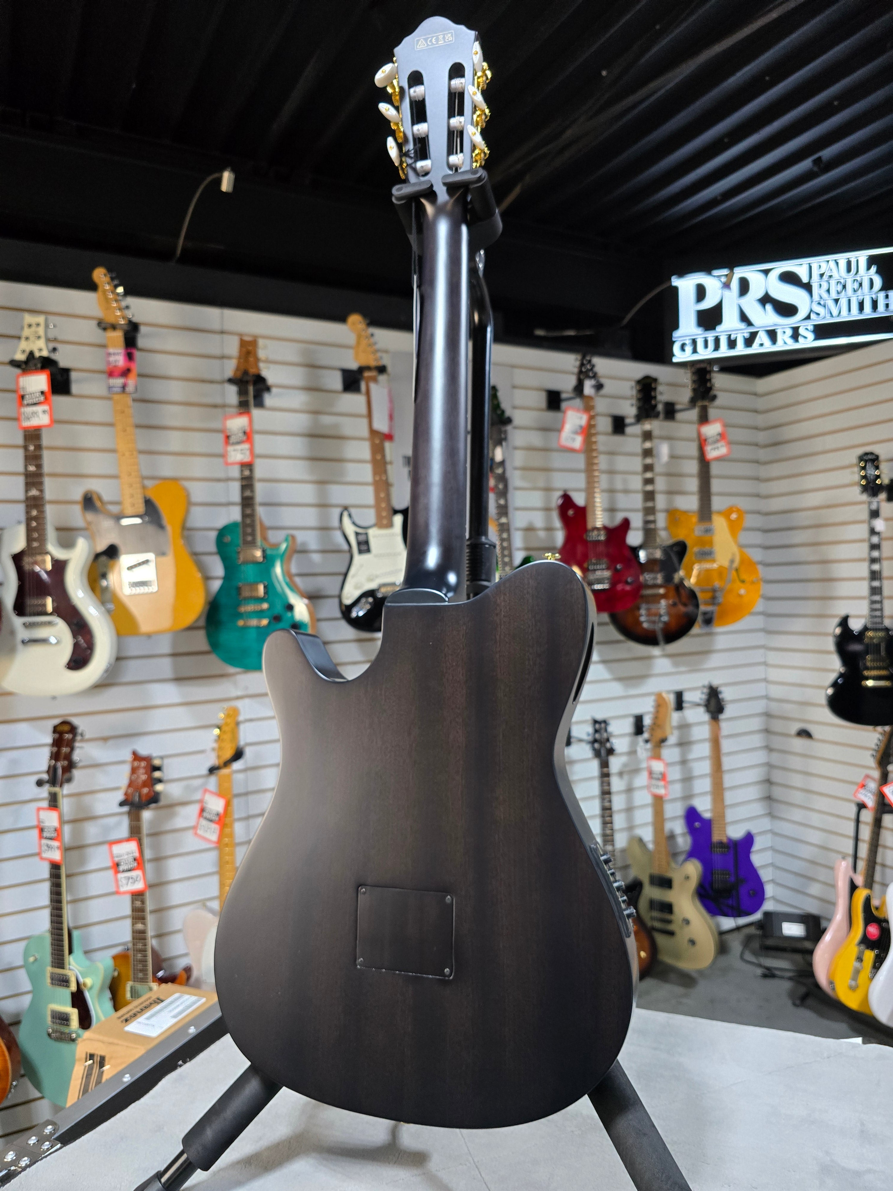 Ibanez FRH20FMN Nylon Acoustic Electric Guitar - Dark Emerald Green & PLEK*D #062