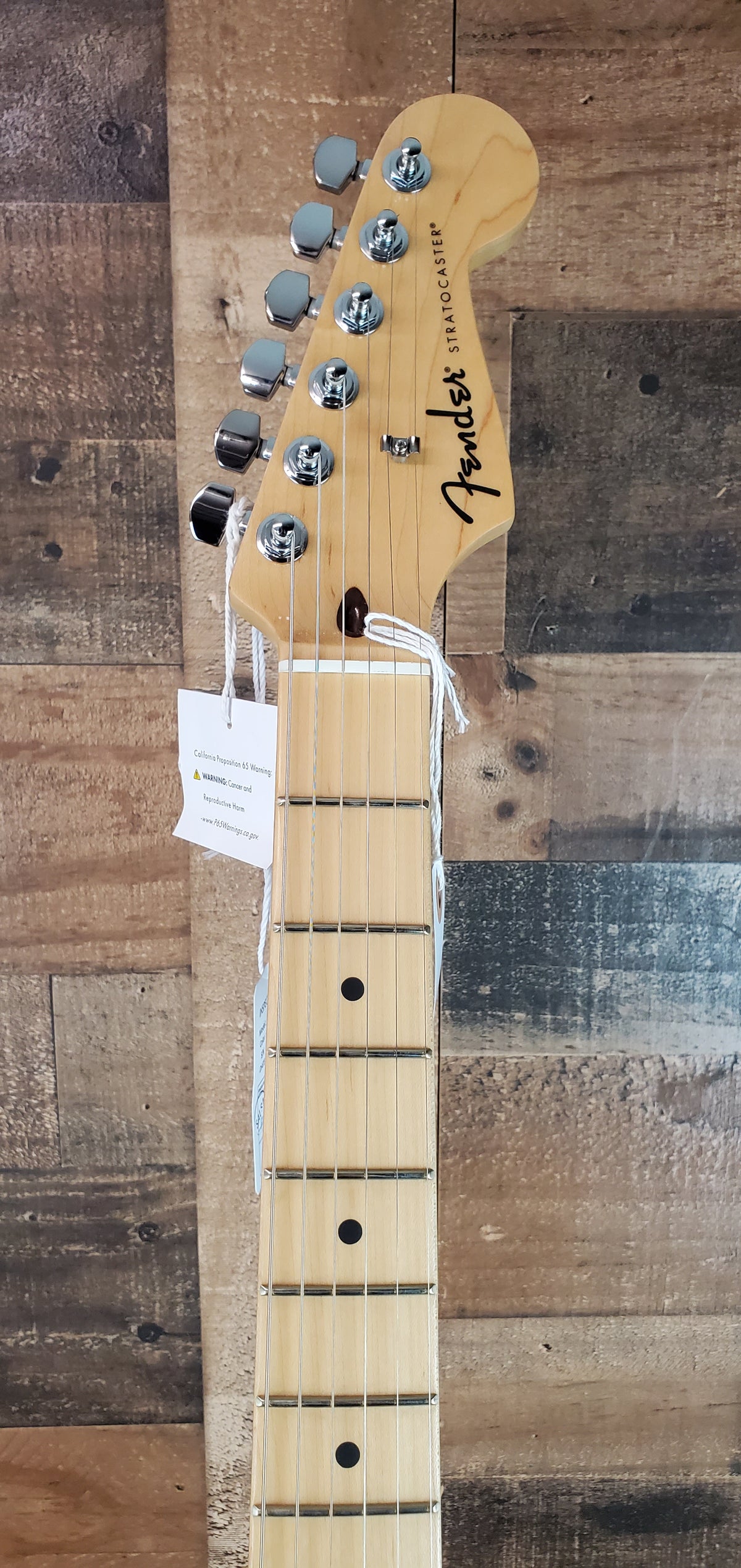 Fender Standard Stratocaster Candy Cola