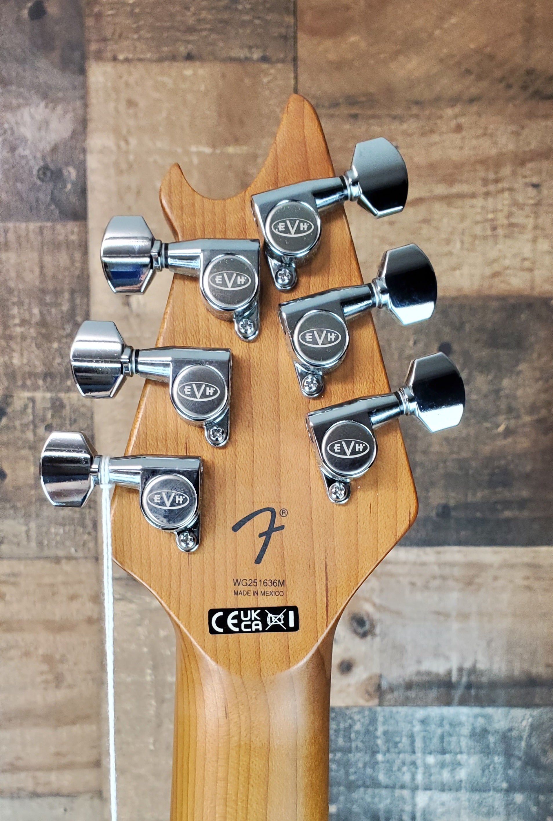 EVH Wolfgang Special TOM Kandy Green