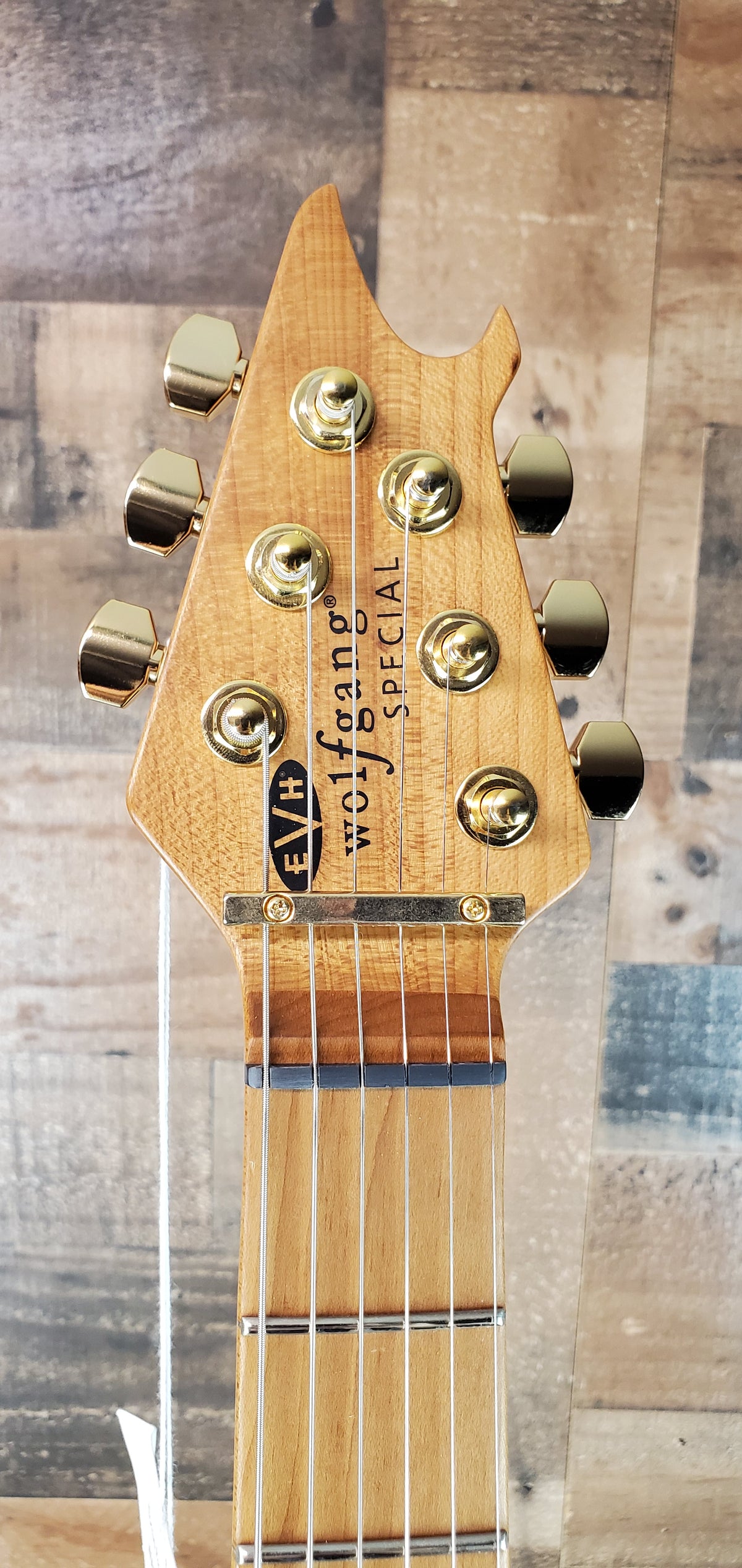 EVH® Wolfgang Special Baked Maple TOM Oxblood