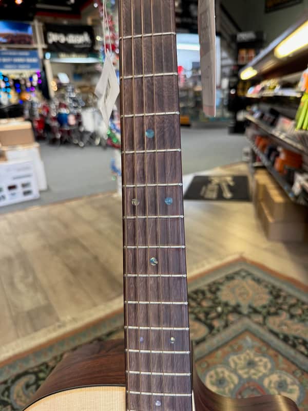 Martin GPC-X2E, Cocobolo & Gig Bag #444