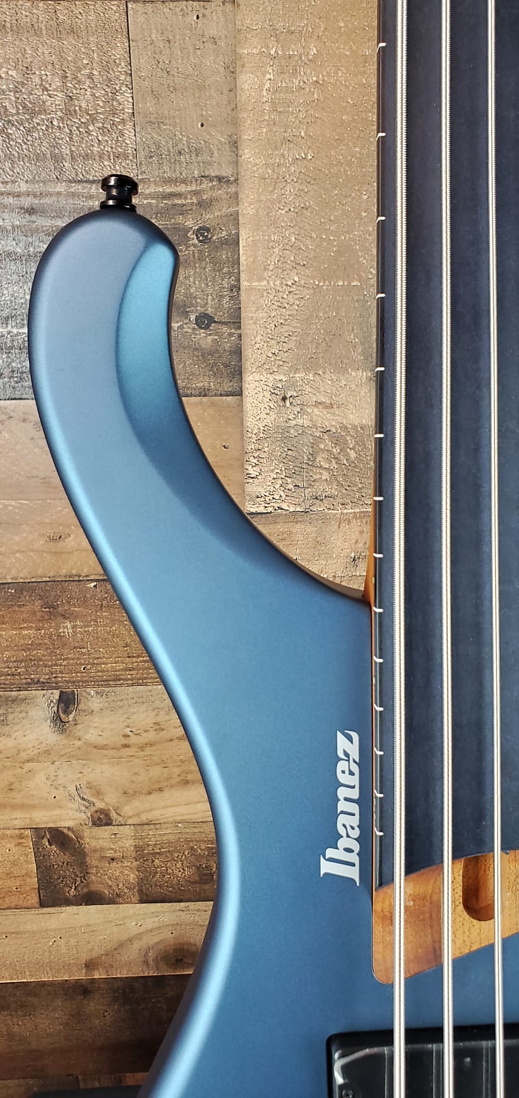 Ibanez Standard EHB1005F Fretless 5-string Bass Guitar - Arctic Ocean Matte 771