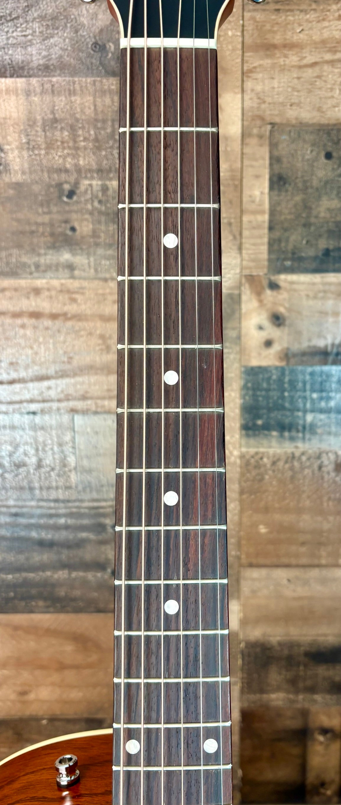 Seagull Coastline S6 Slim Cutaway Spruce Presys II Acoustic/Electric Guitar