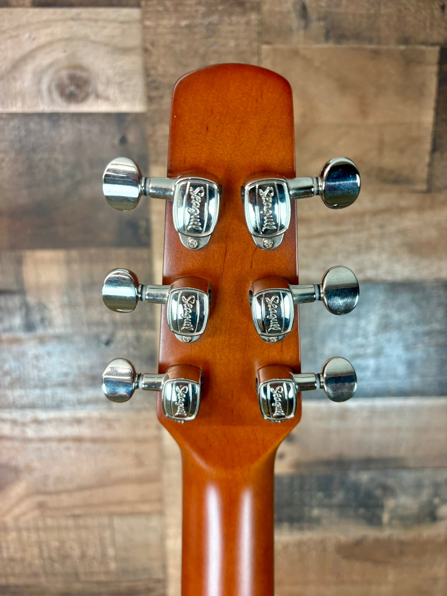 Seagull Coastline S6 Slim Cutaway Spruce Presys II Acoustic/Electric Guitar