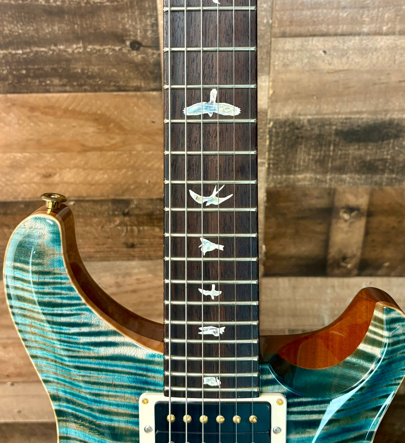 PRS Custom 24 10-Top Carroll Blue | C&M Music Center