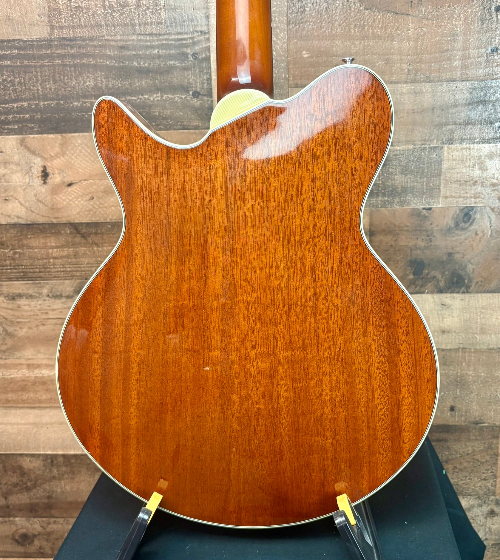 Eastman Romeo California Goldburst