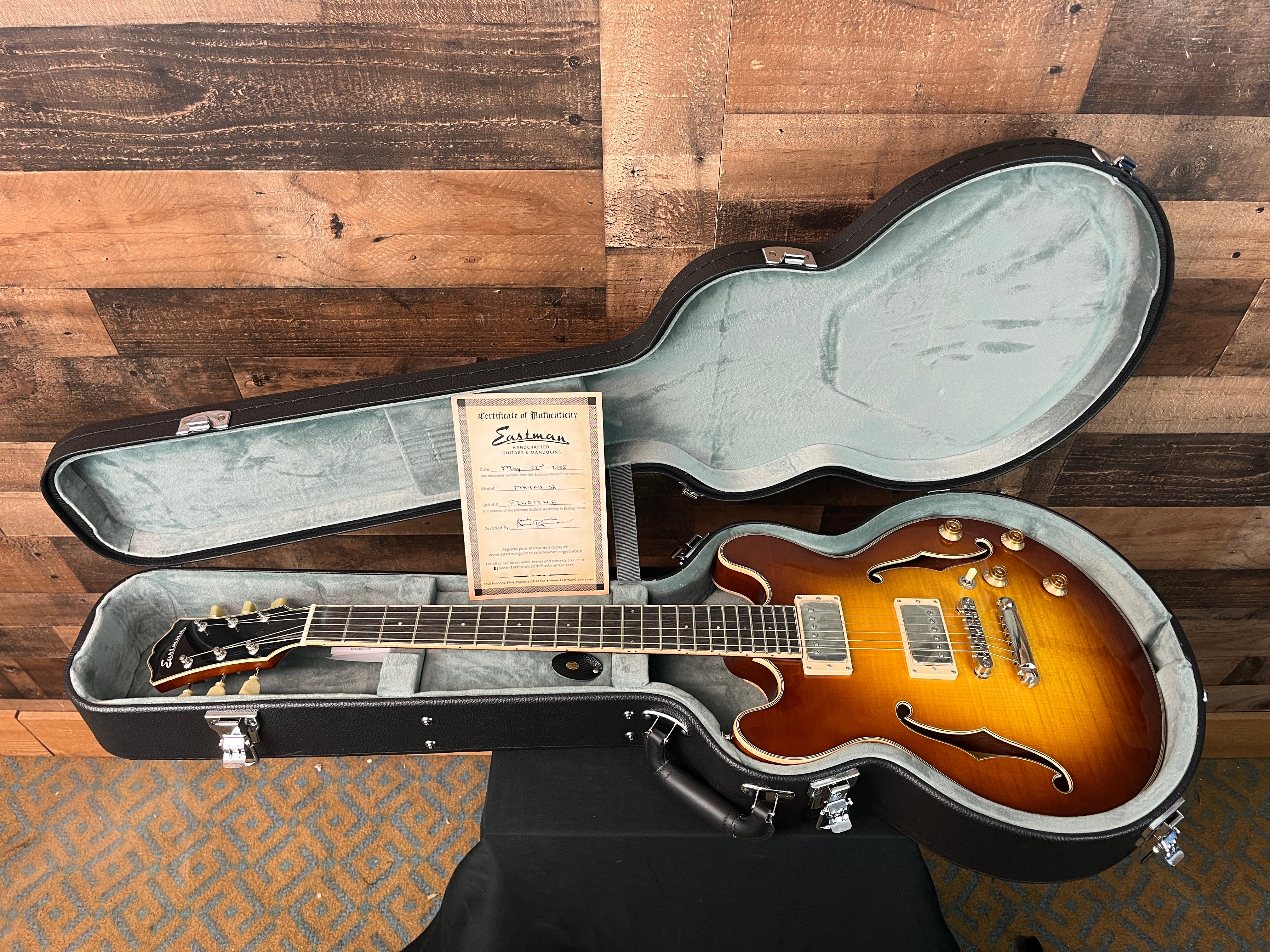 T184MX-GB Semi-hollow Electric Guitar, Goldburst, Hardcase, 248