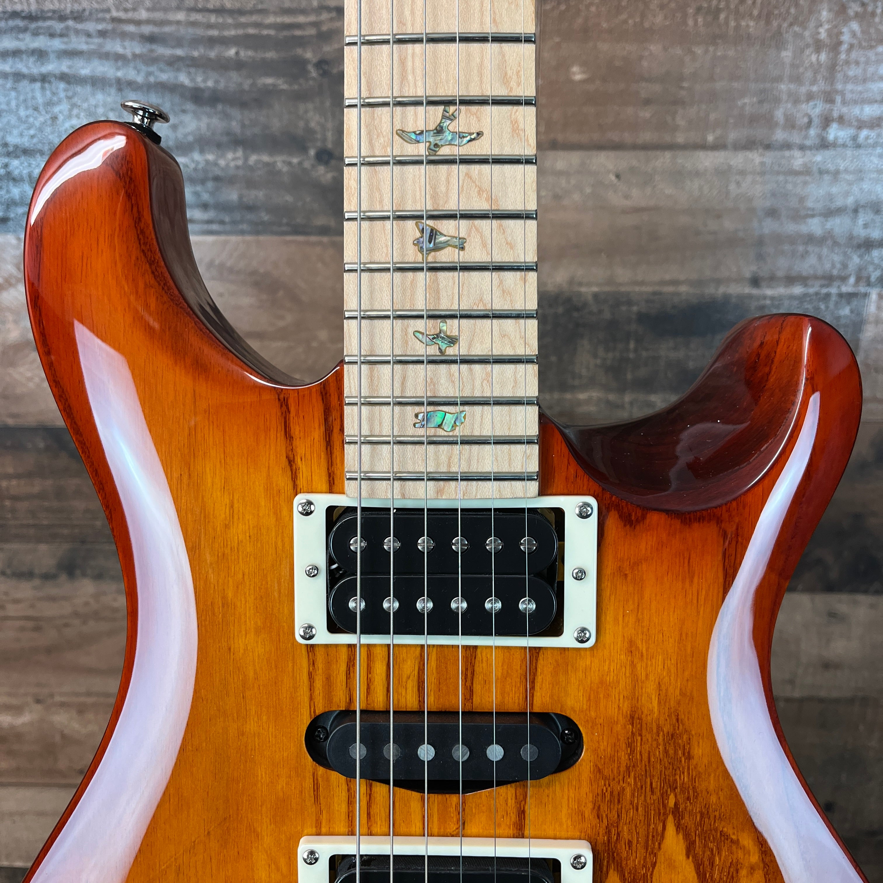 PRS SE Swamp Ash Special, Vintage Sunburst, Gig Bag, 288