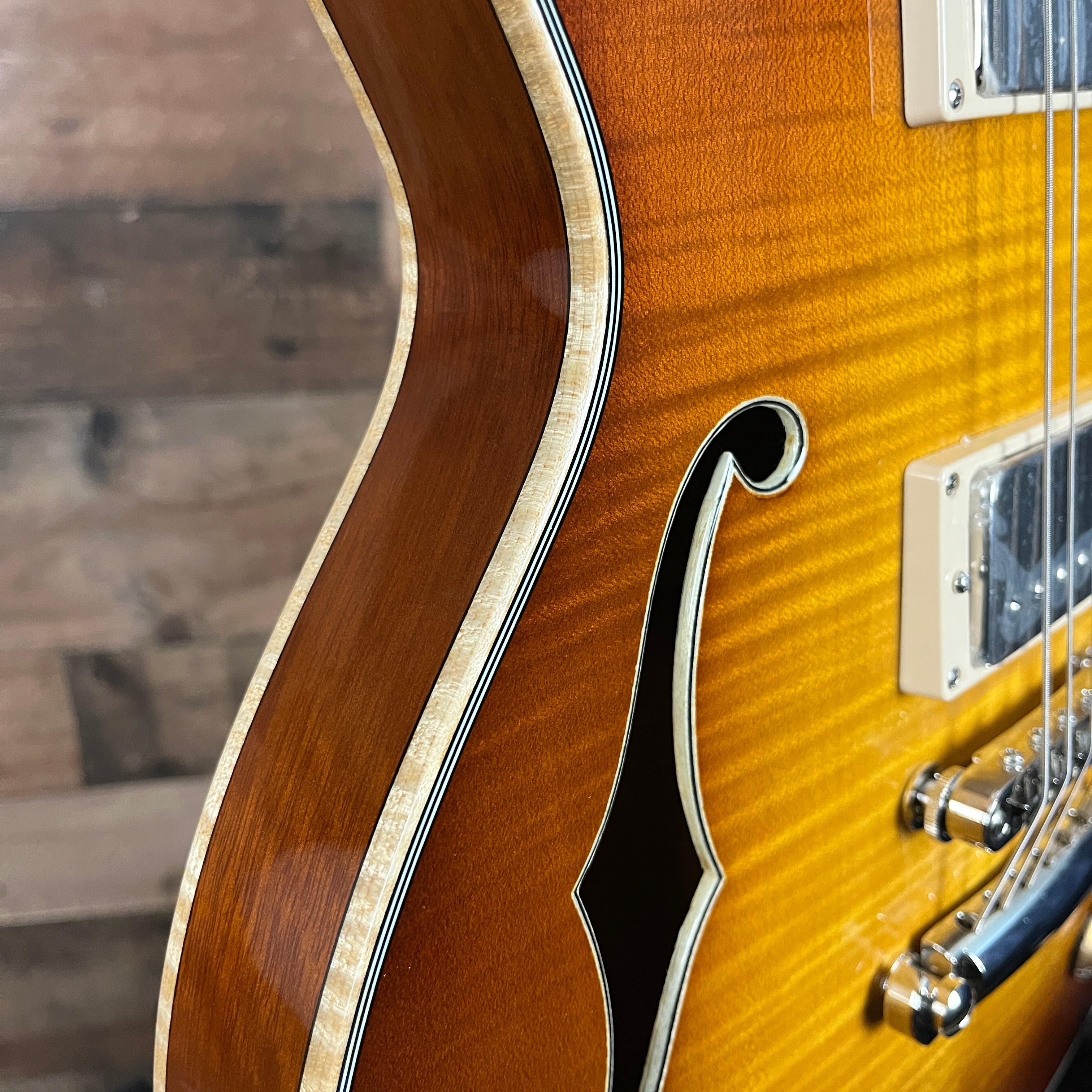 T184MX-GB Semi-hollow Electric Guitar, Goldburst, Hardcase, 248