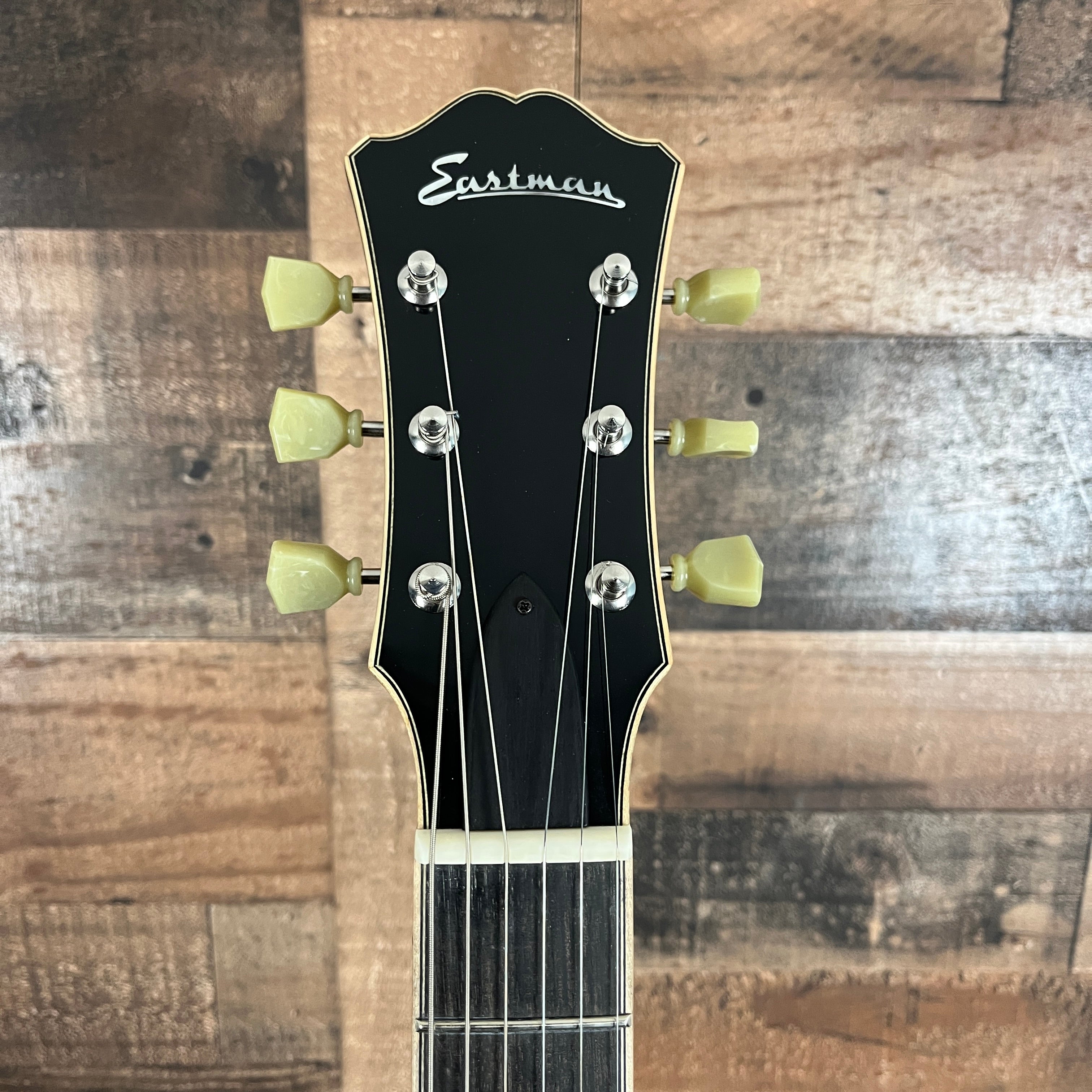 T184MX-GB Semi-hollow Electric Guitar, Goldburst, Hardcase, 248