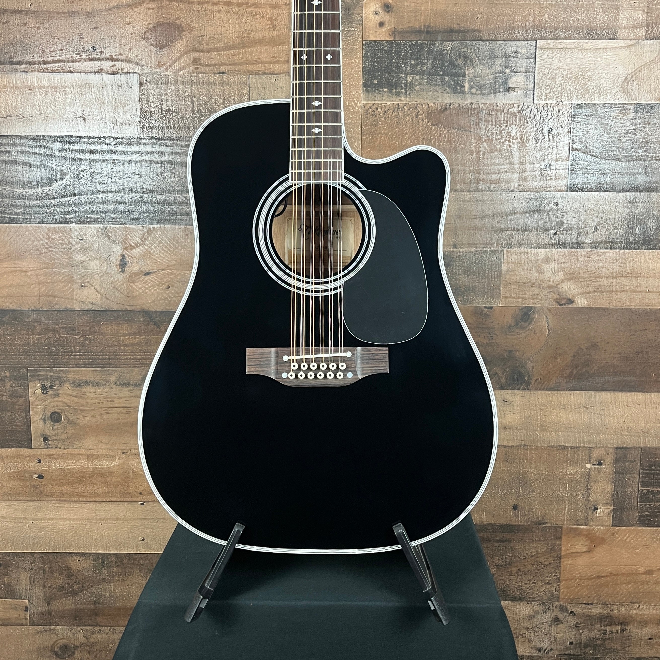 EF381SC, 12-string, Black, Softshell Case, 065