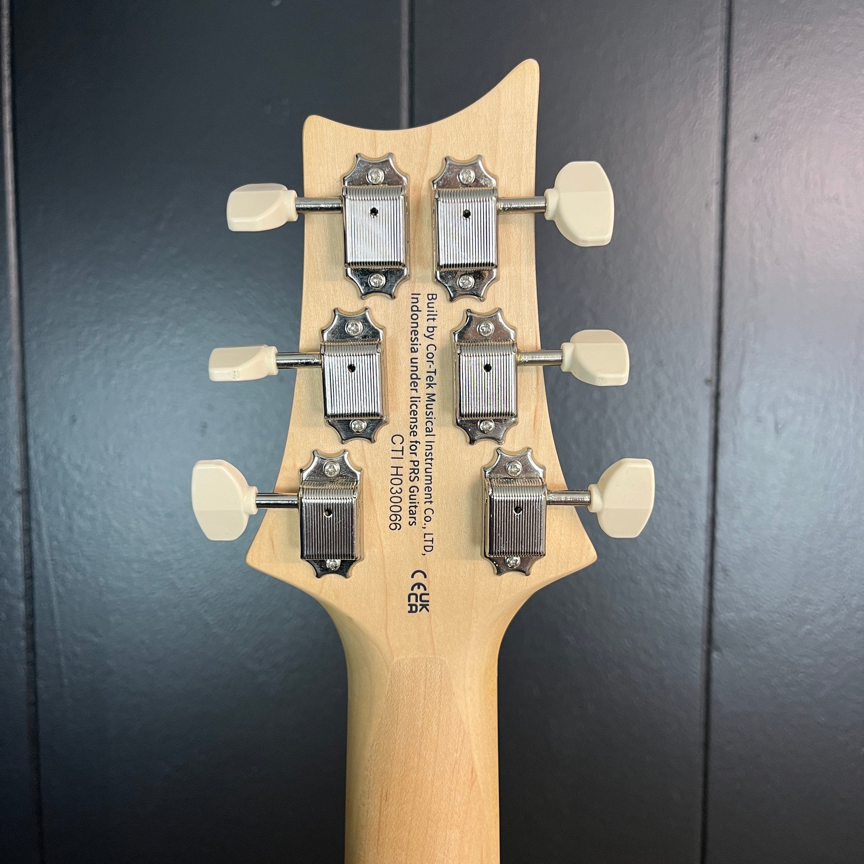 PRS SE NF 53 Electric Guitar, White Doghair, Gig Bag, 066