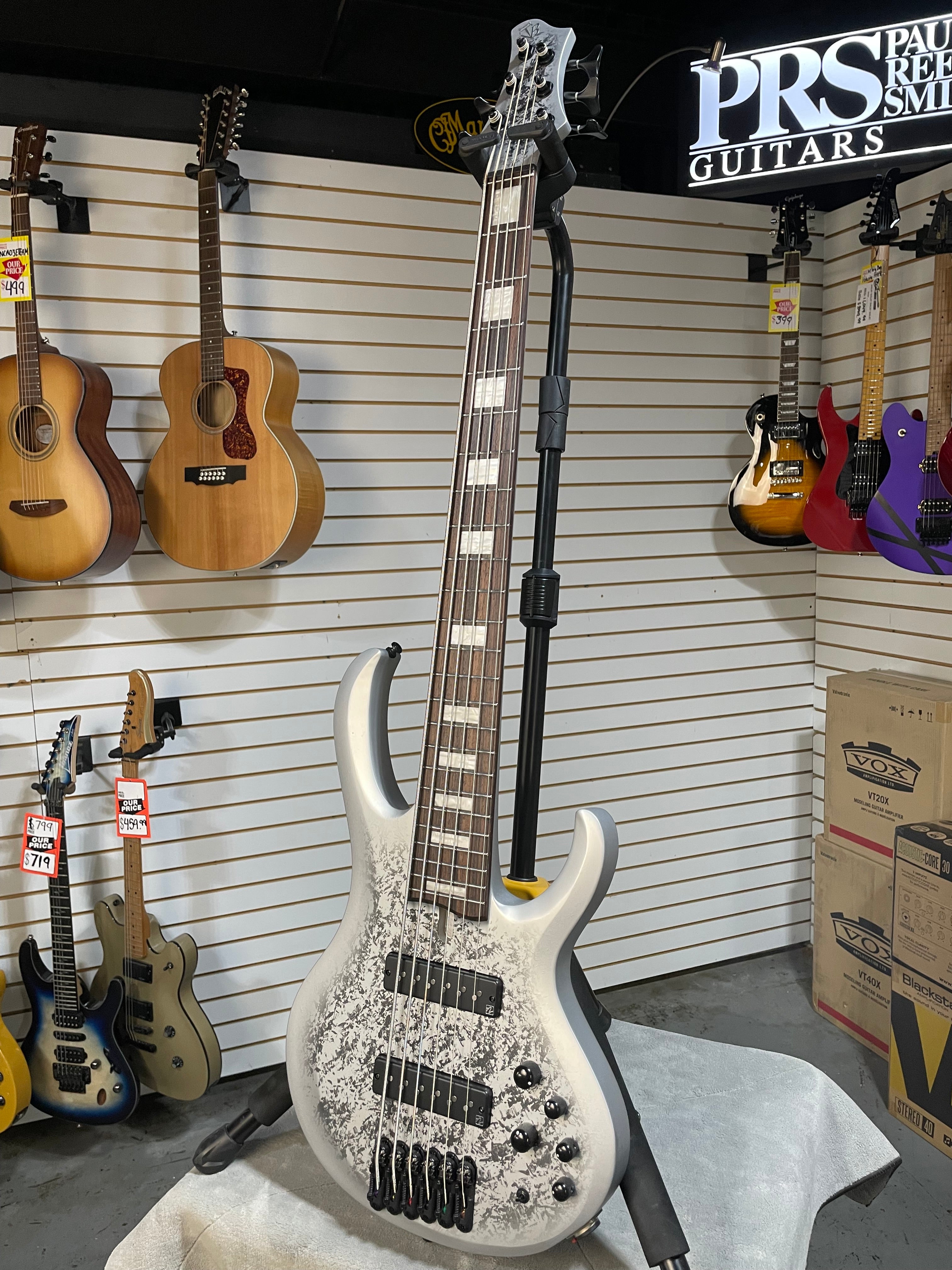 Ibanez 25th-Anniversary BTB Silver Blizzard Matte | C&M Music Center