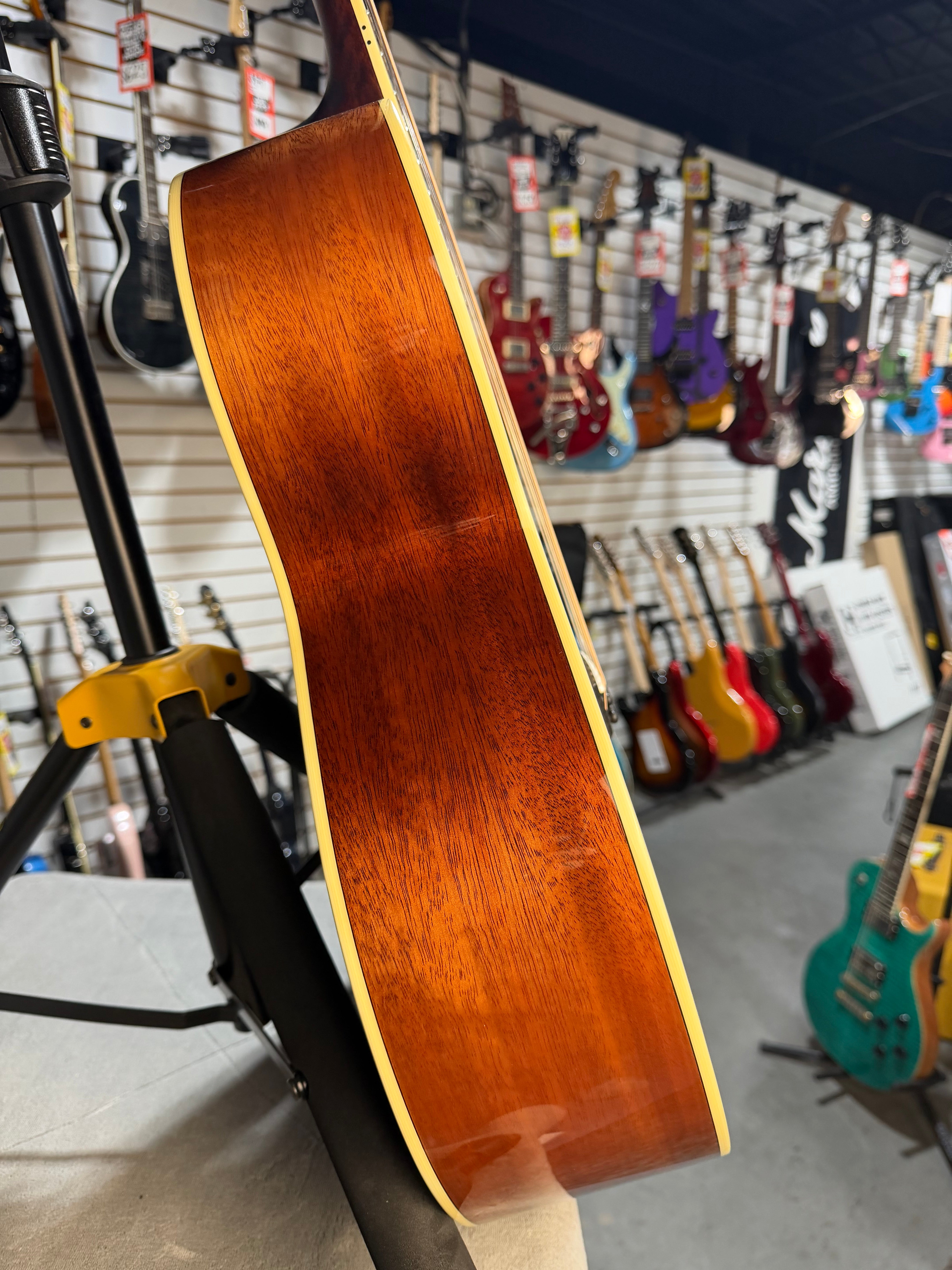 Eastman AC330E-12 Natural