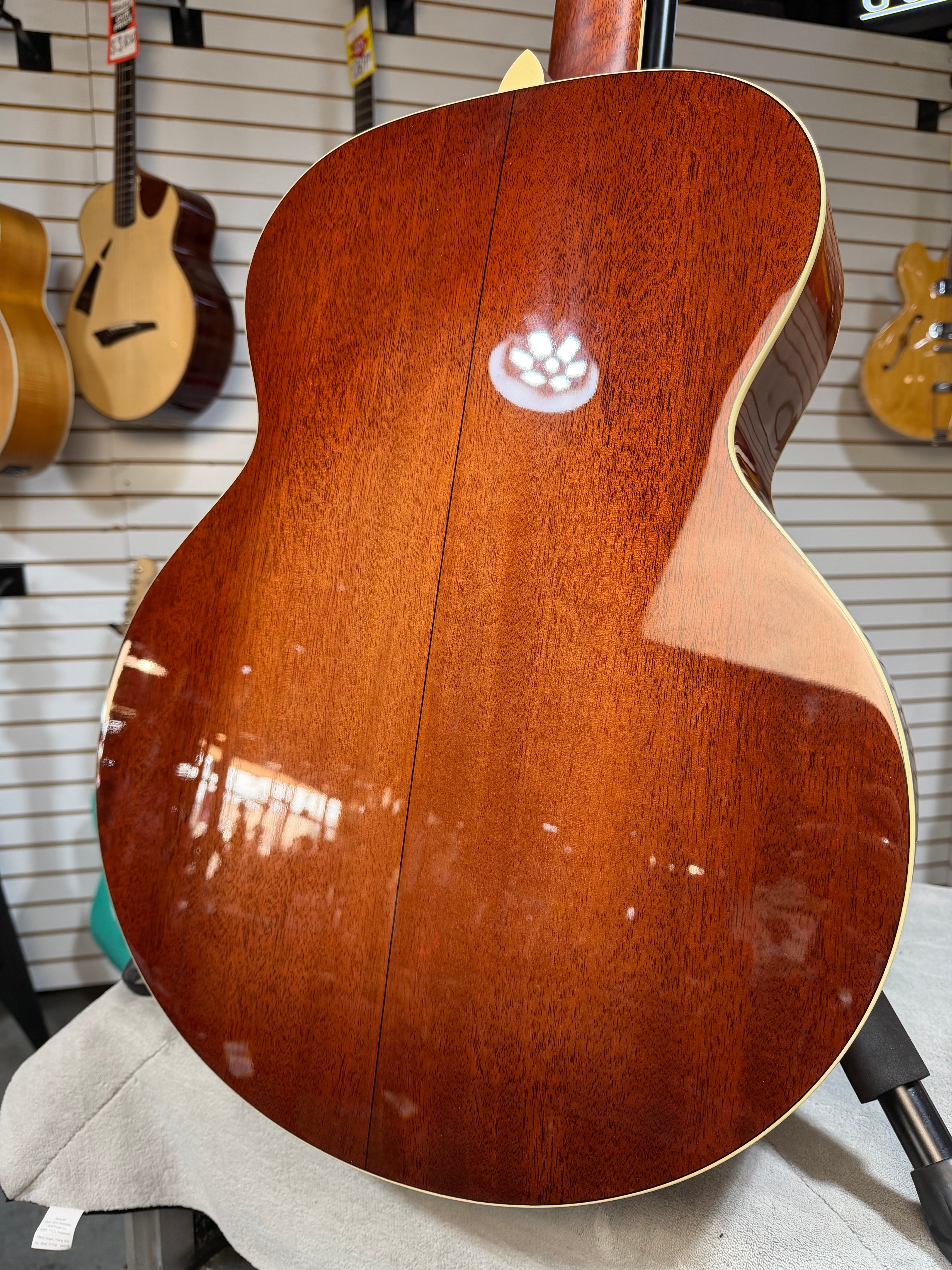 Eastman AC330E-12 Natural
