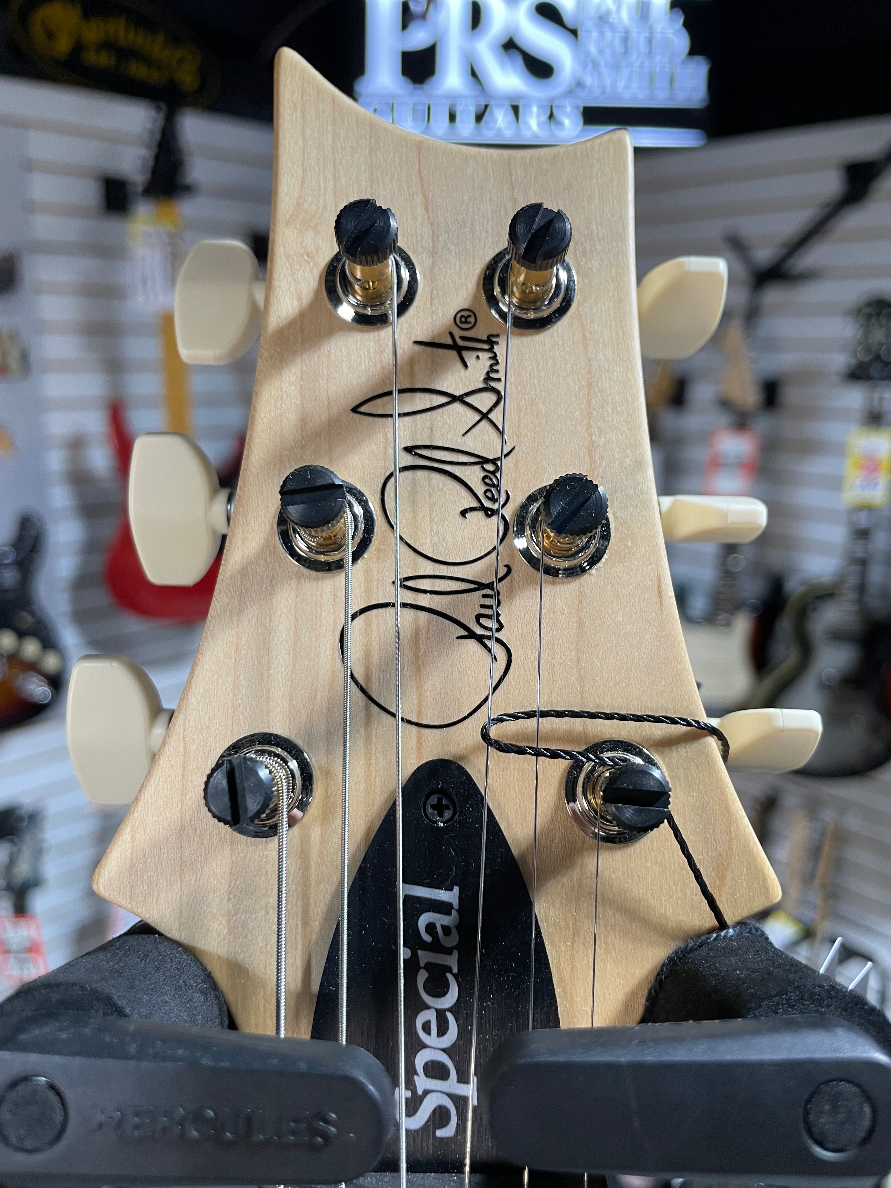 Swamp Ash Special Electric Guitar - Jasper Smokeburst with Rosewood Fingerboard #321 GET PLEK'D!