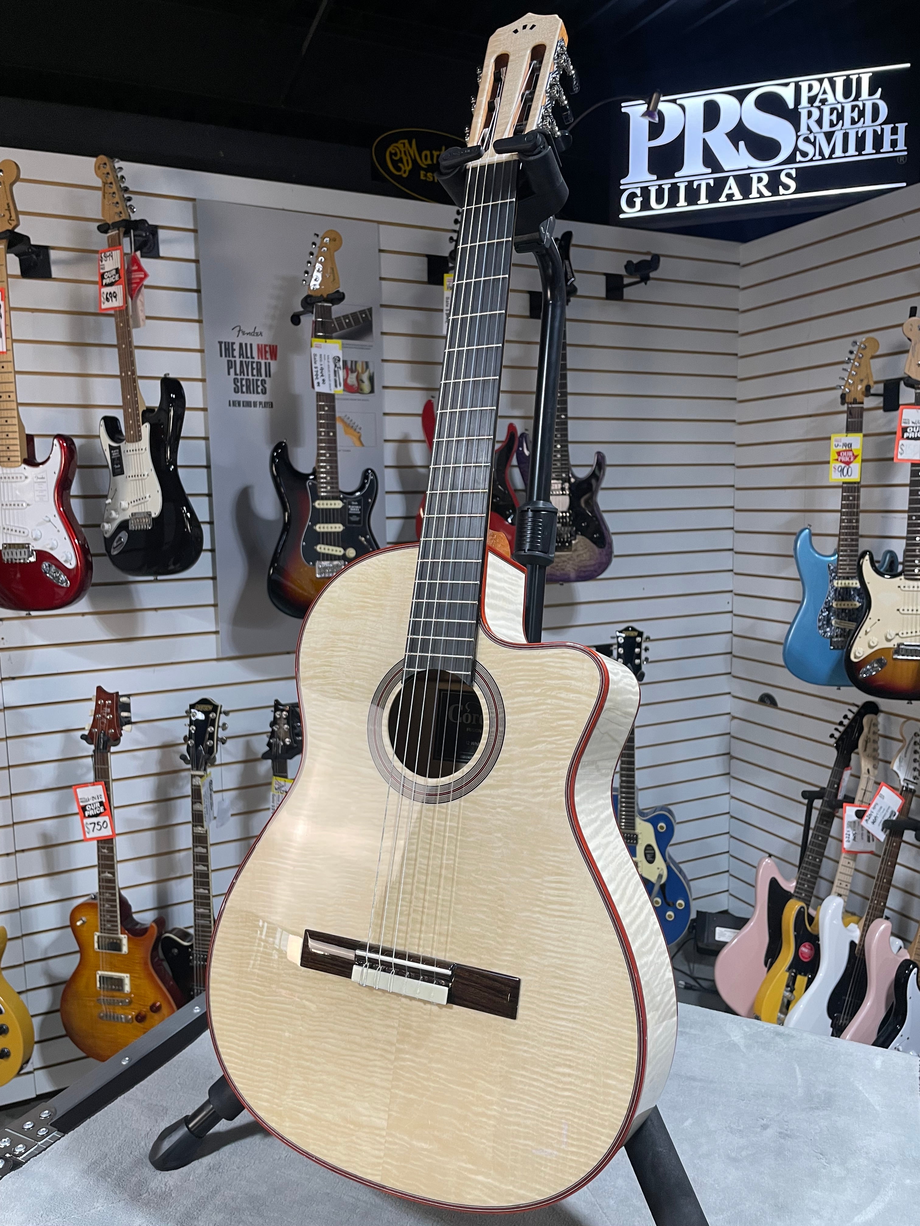 Fusion 12 Exotic Top Nylon-string Acoustic-electric Guitar - White Sands #098 GET PLEK'D!