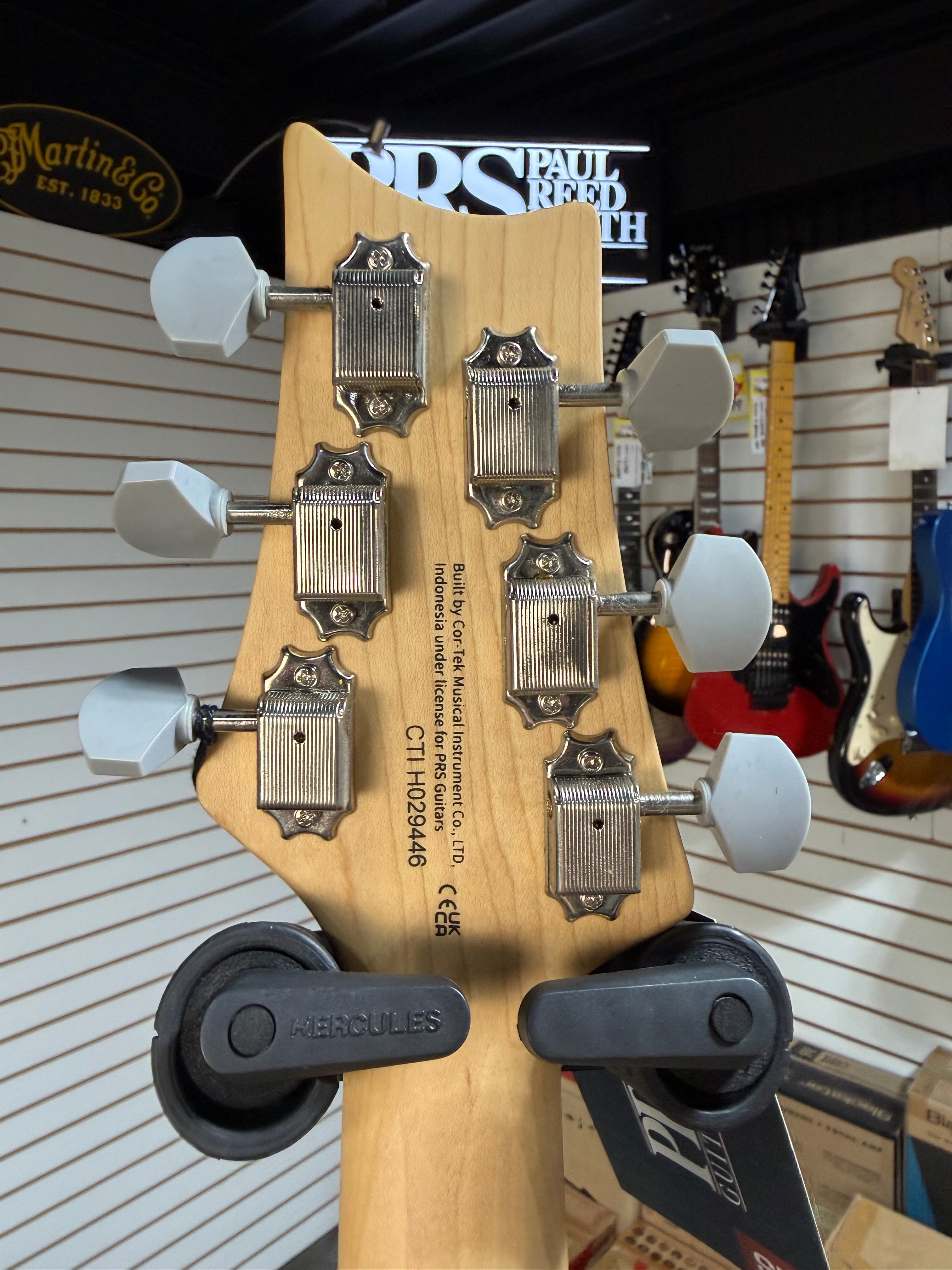 PRS SE Silver Sky Dandy Lion