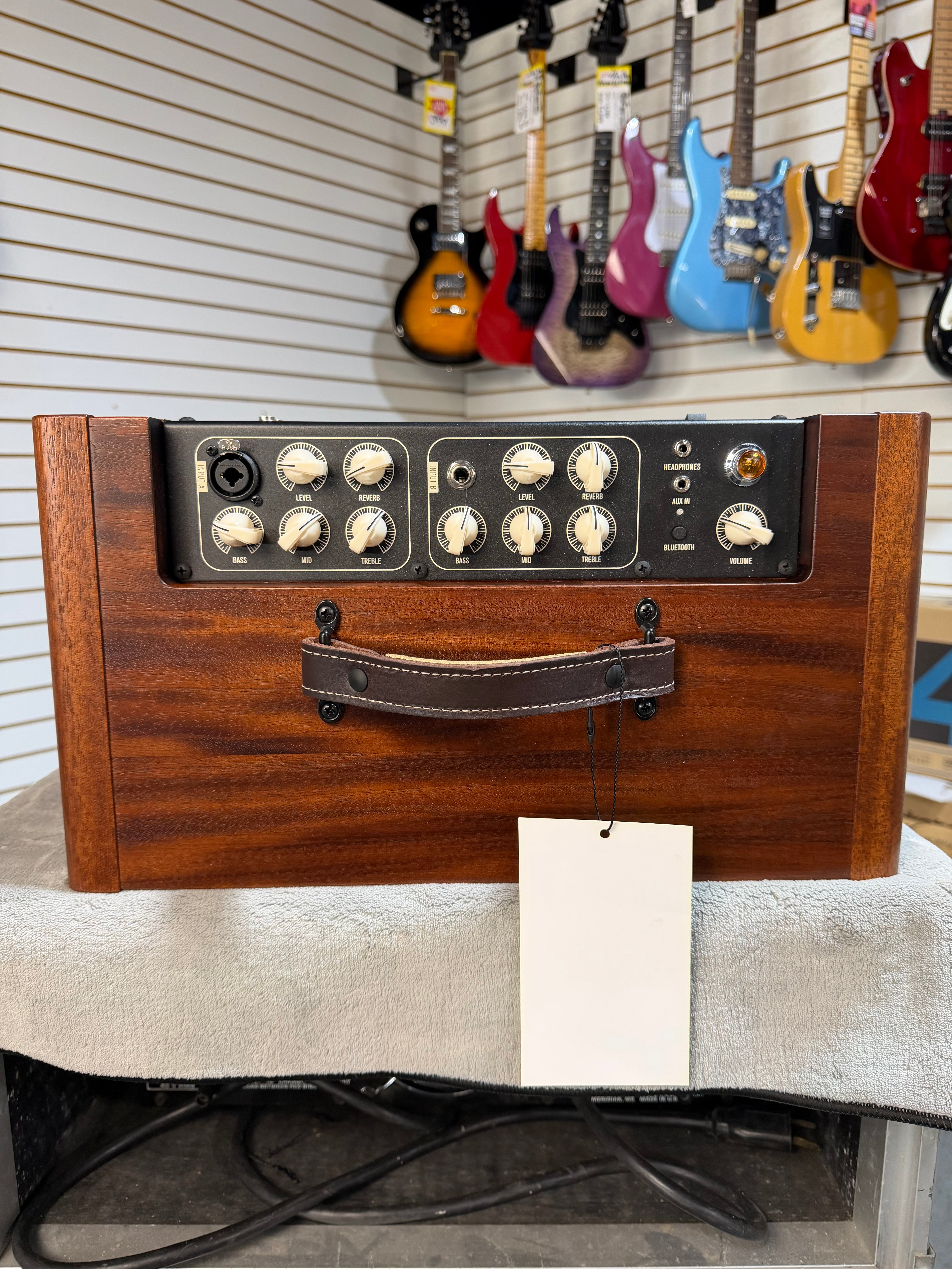 Taylor Circa 74 2-Channel 150-Watt 1x10" Acoustic Guitar / Vocal Combo with Stand - Natural Mahogany