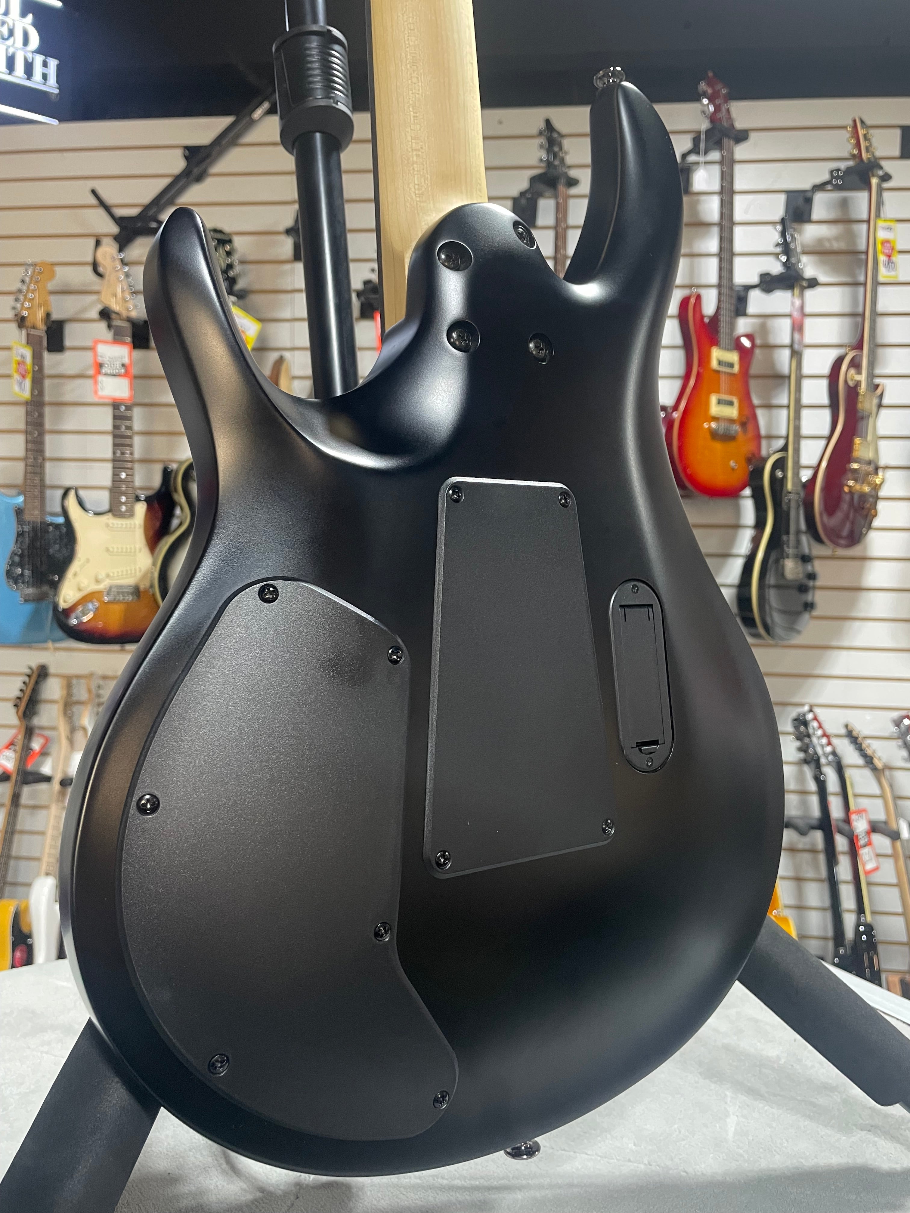 PRS SE Chleo Herman Li Signature 2025 - Mantis Burst w/Gig Bag & PLEK*D #854