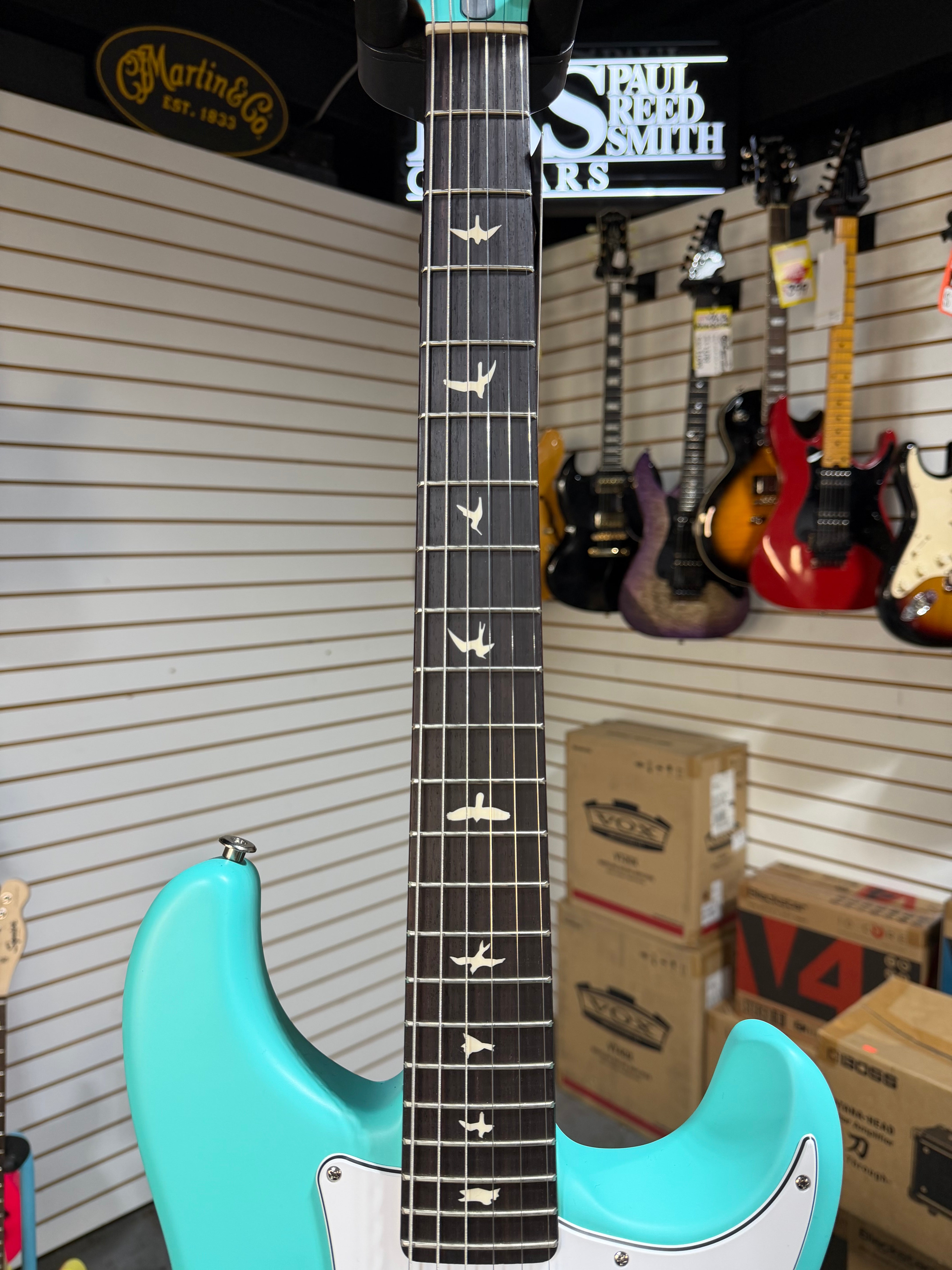 PRS Silver Sky Limited Edition Wild Blue