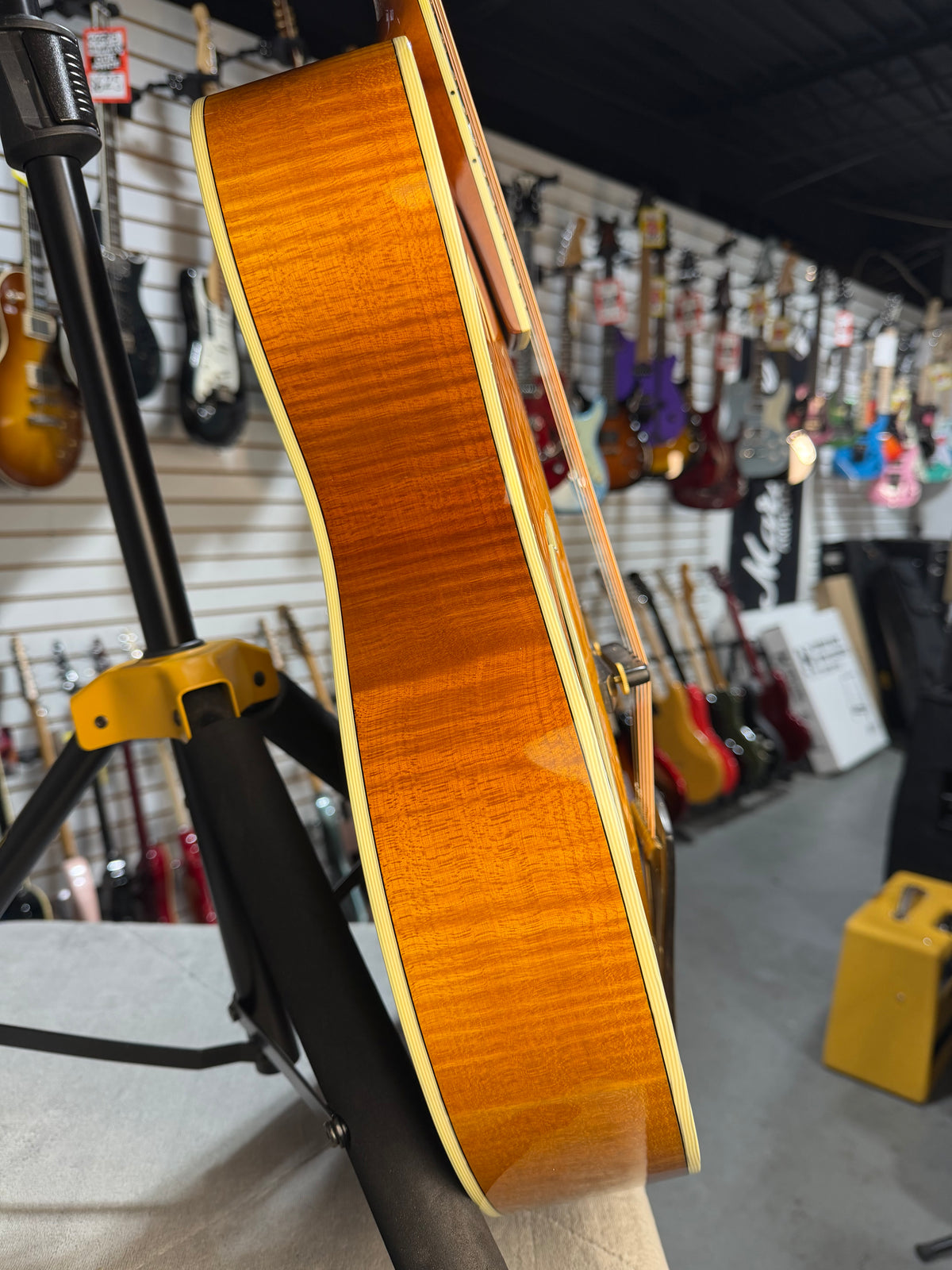 Eastman AR805 Goldburst