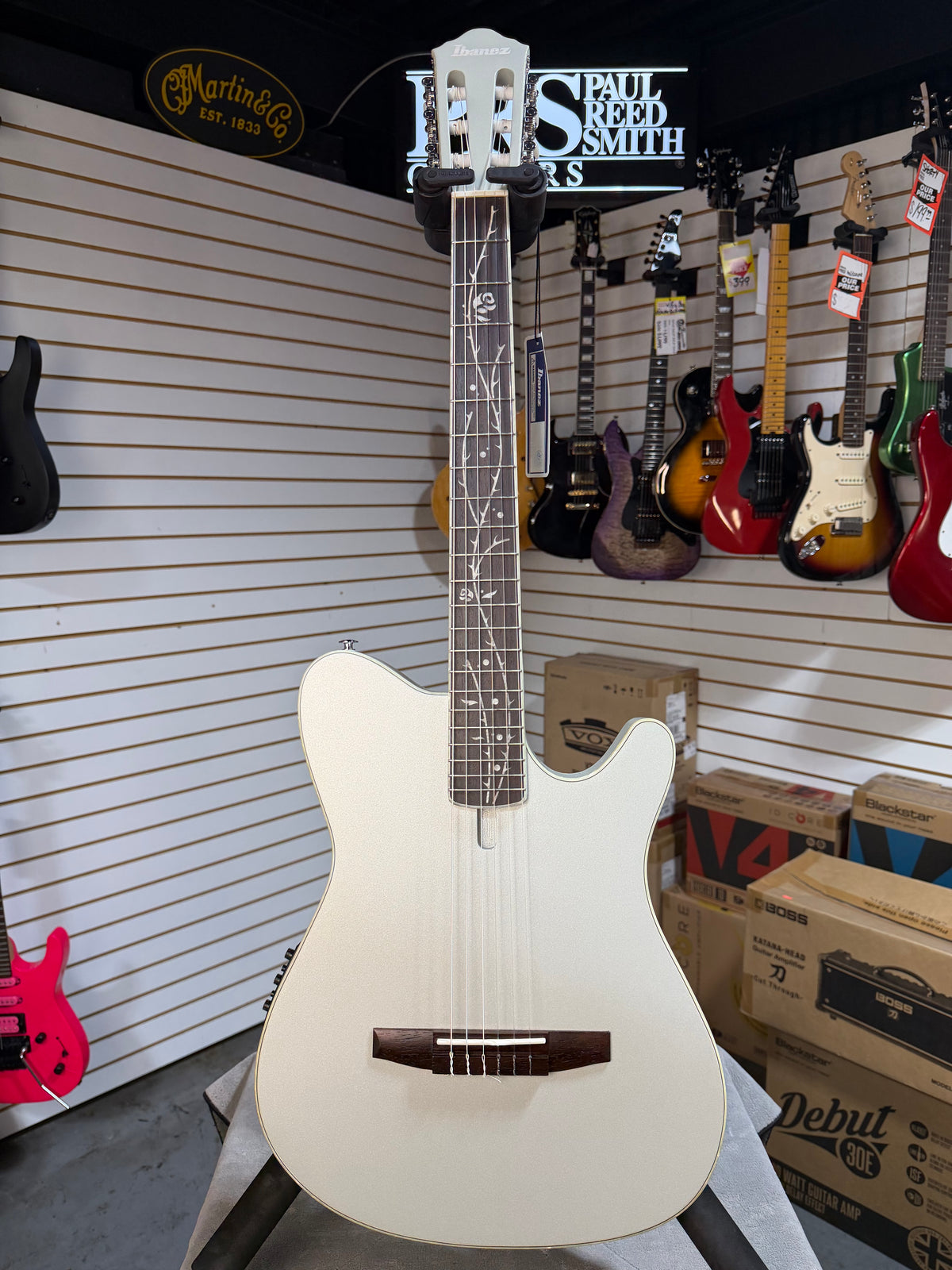 Ibanez TOD10N Silver Metallic Flat